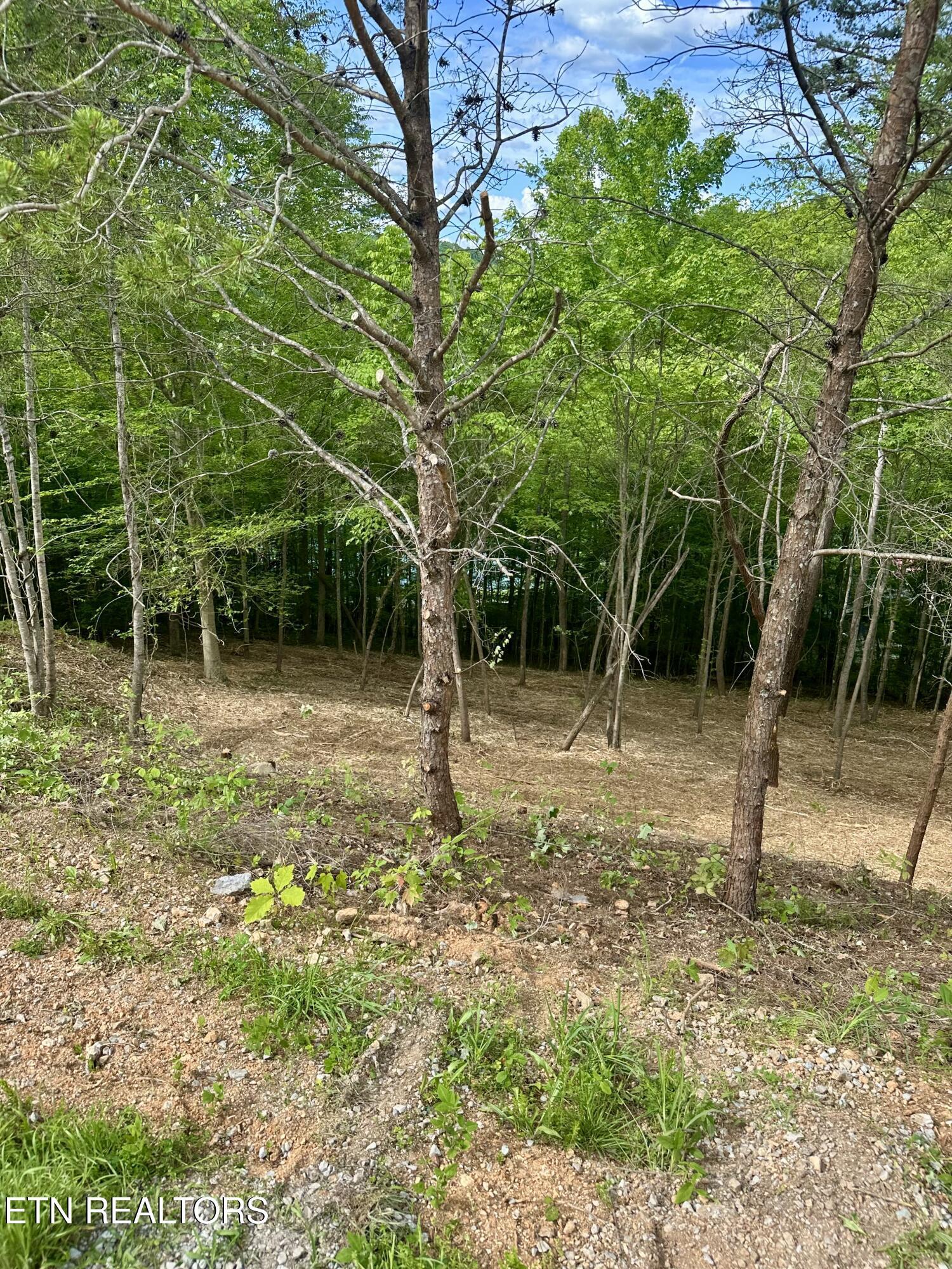 Norris Lake Real Estate - Image# 17