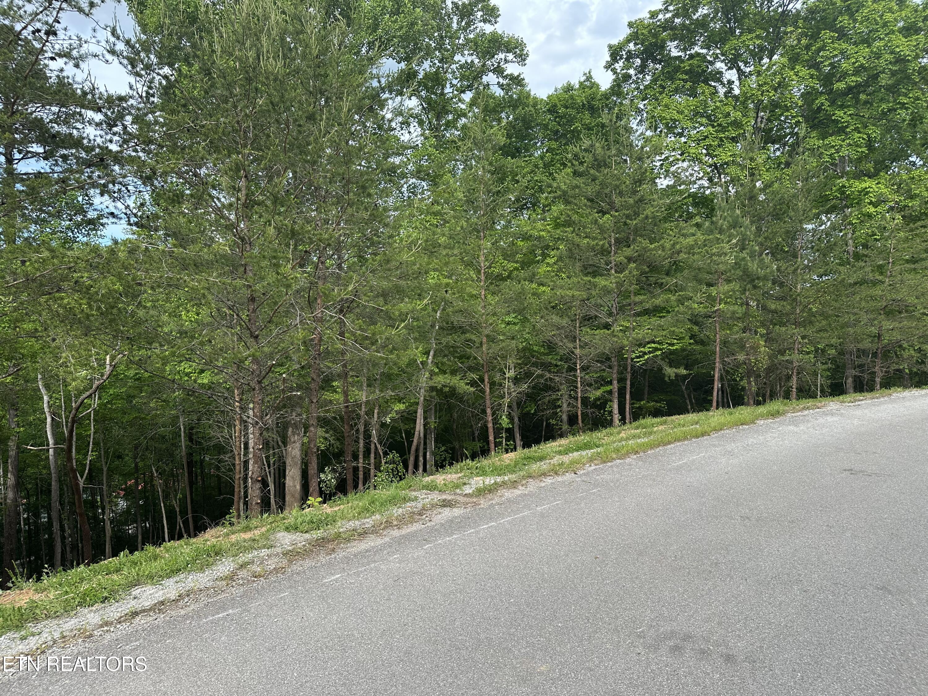 Norris Lake Real Estate - Image# 19