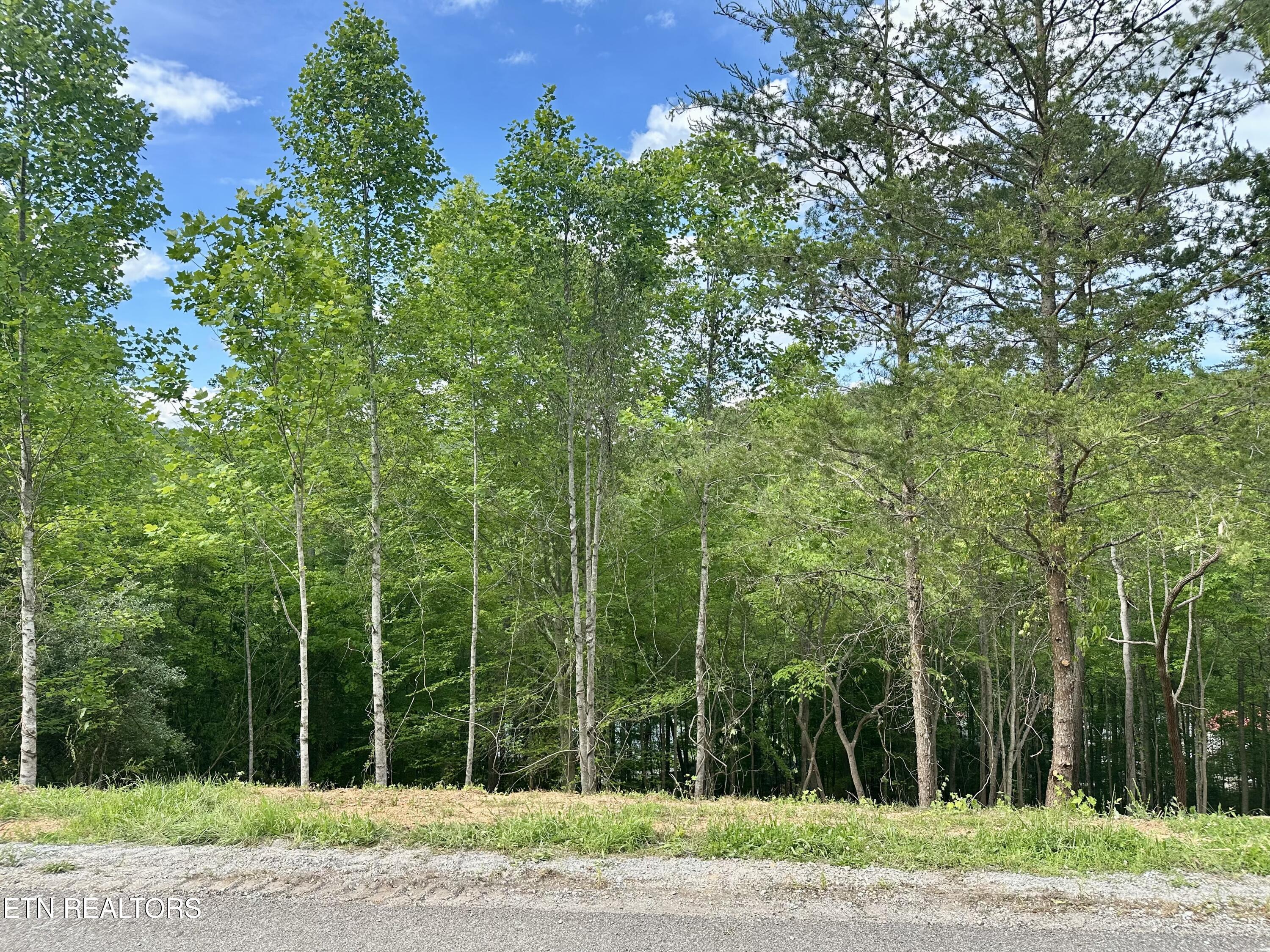 Norris Lake Real Estate - Image# 21