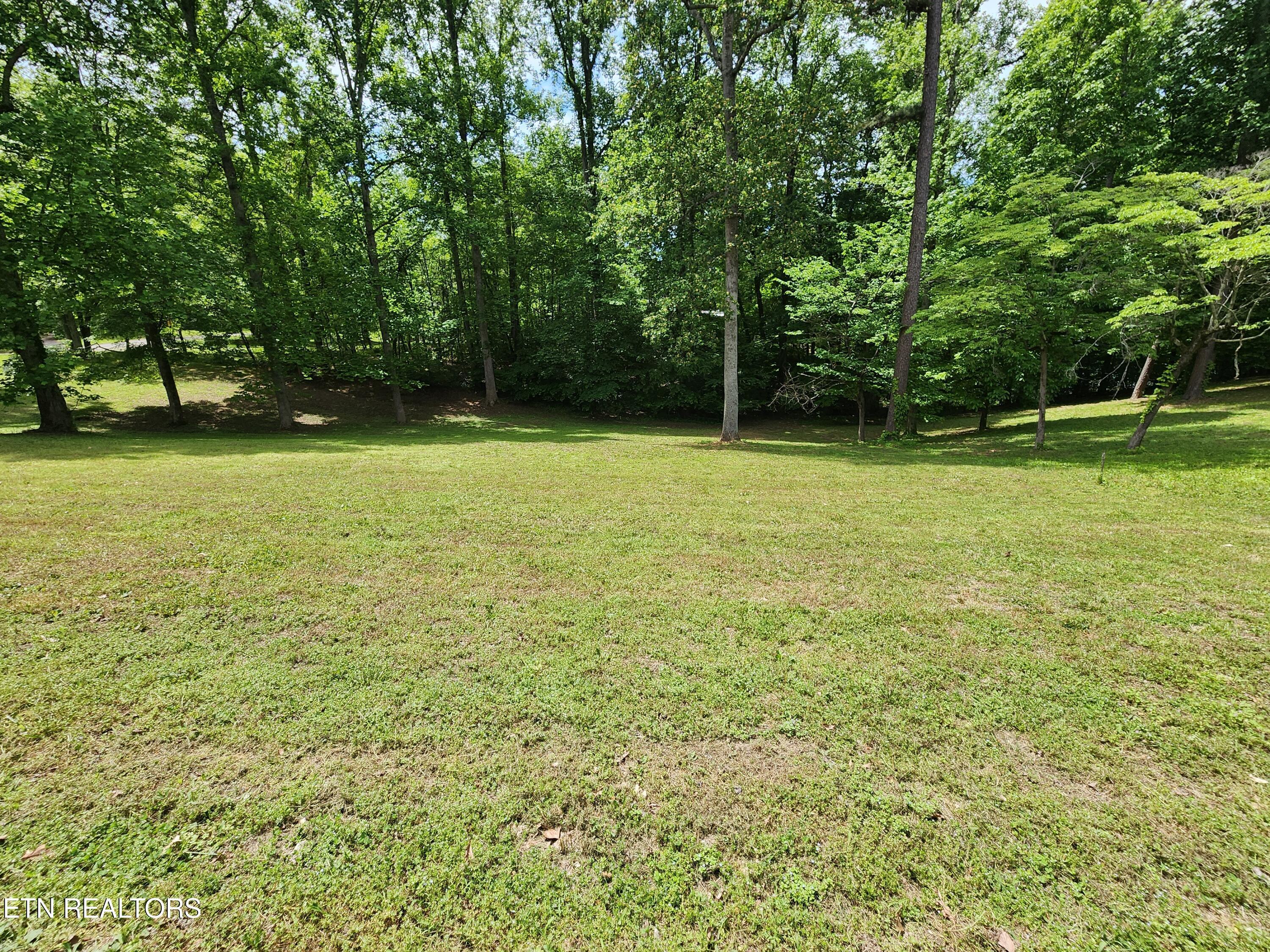 Norris Lake Real Estate - Image# 2
