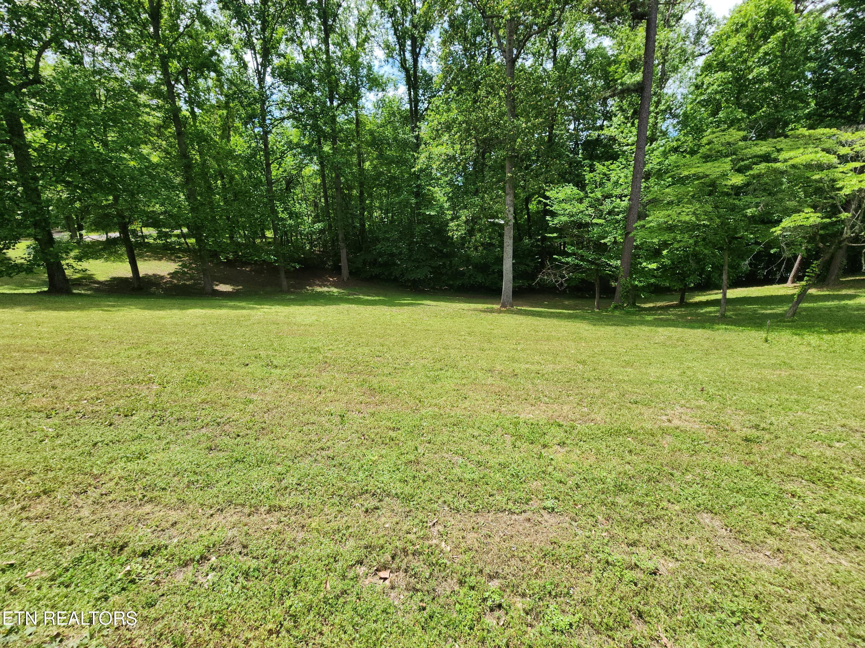 Norris Lake Real Estate - Image# 3