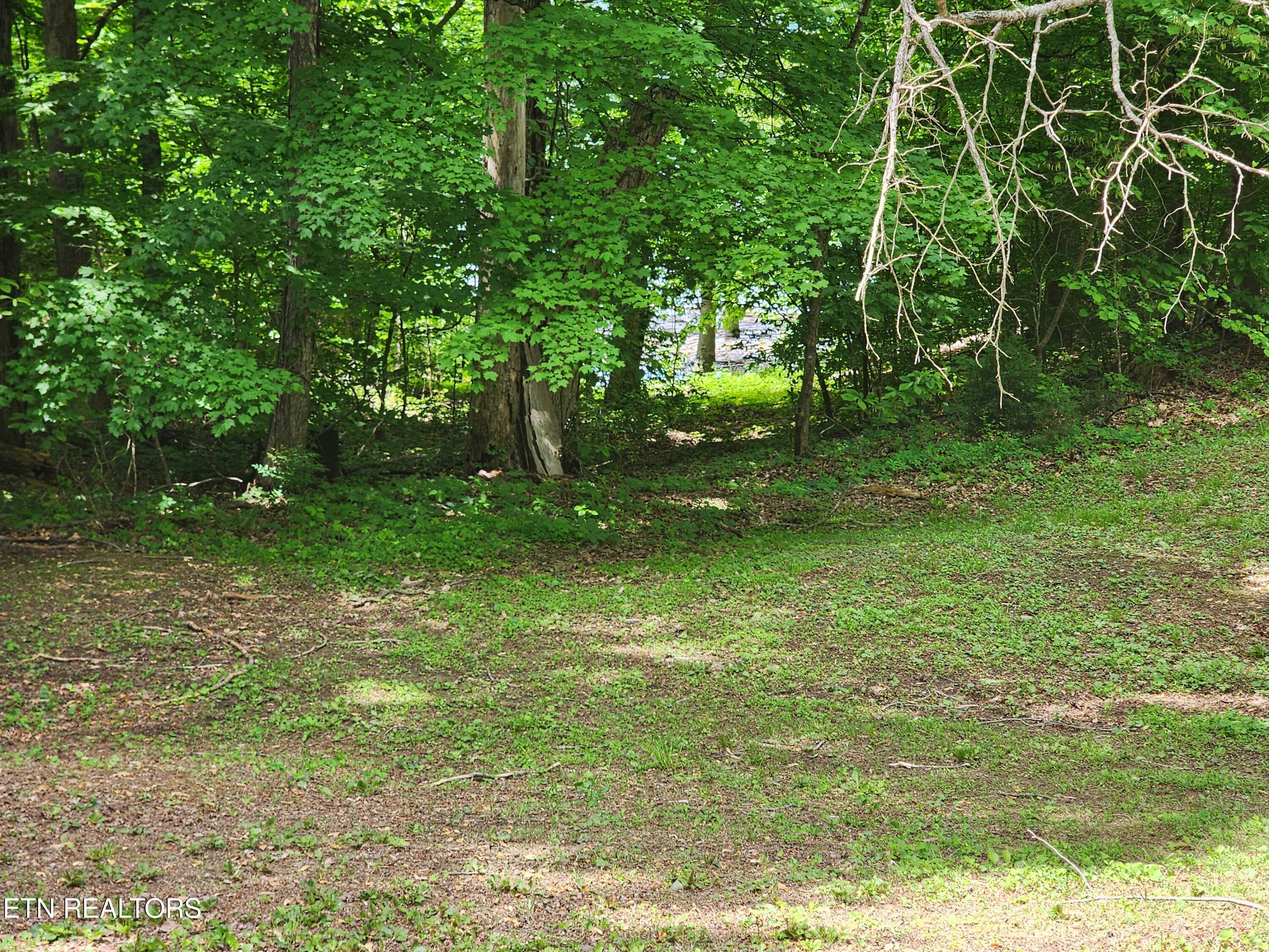 Norris Lake Real Estate - Image# 5