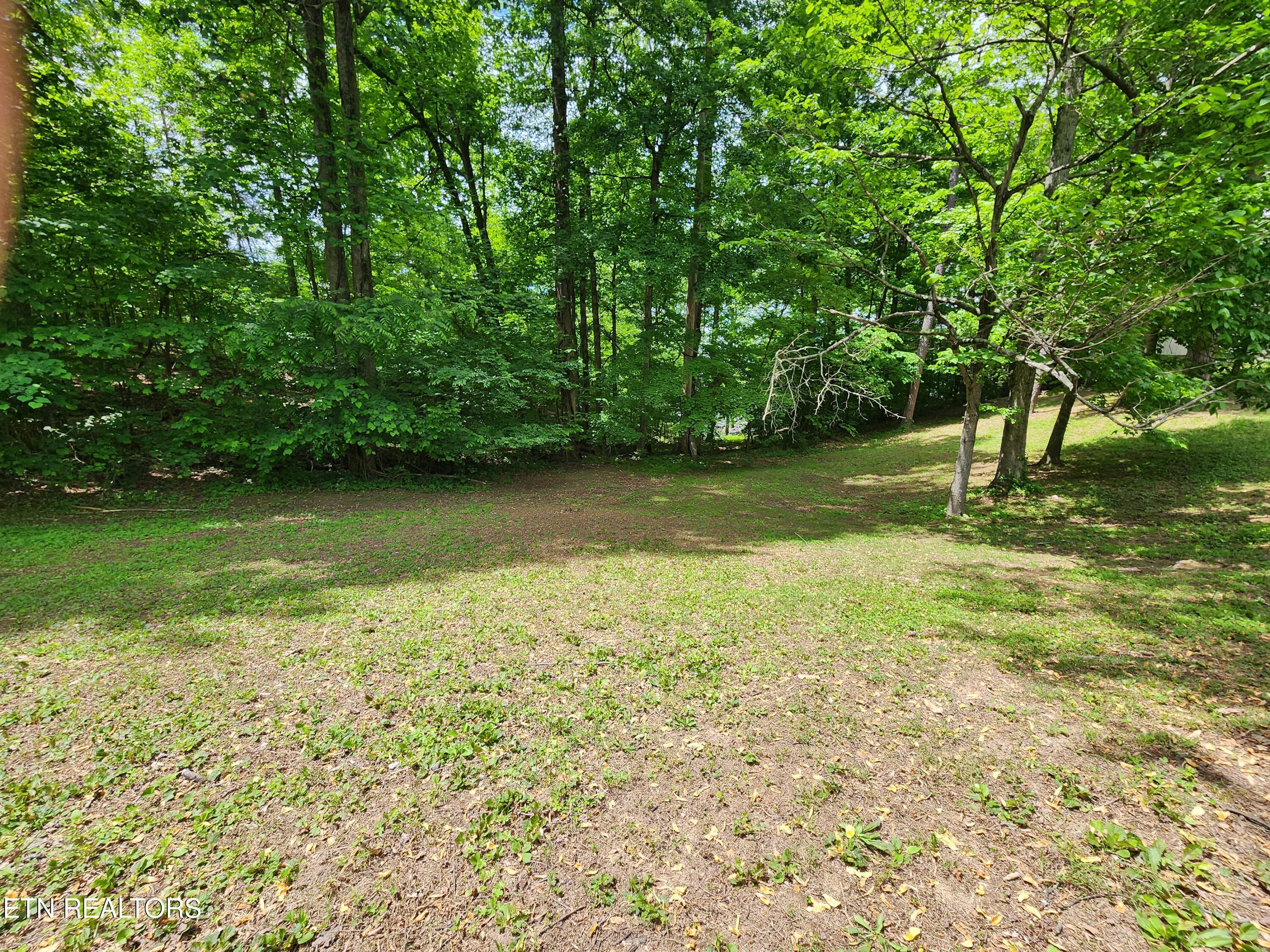 Norris Lake Real Estate - Image# 6