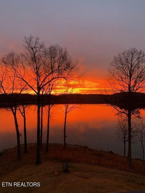 Norris Lake Real Estate - Image# 40