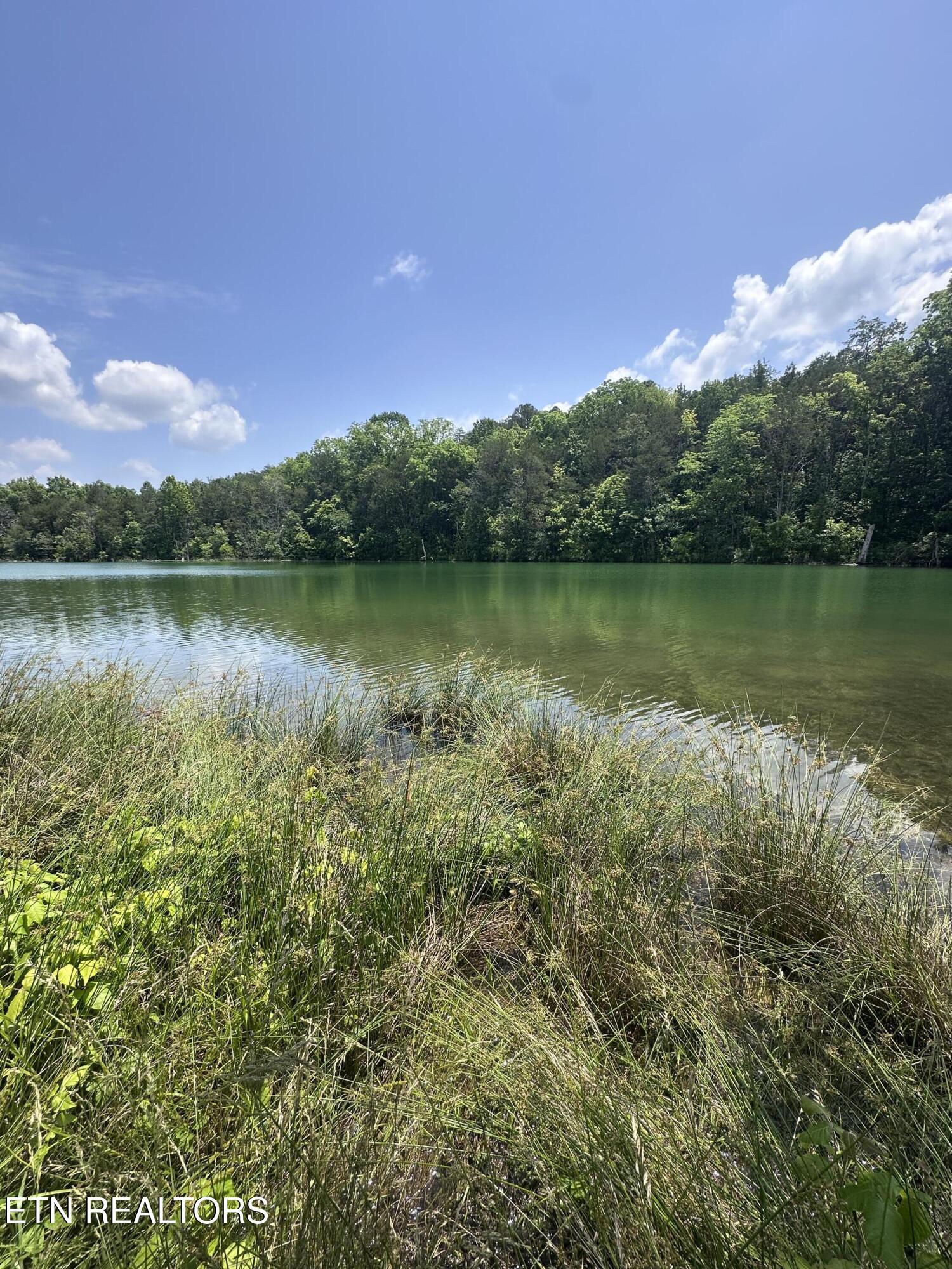 Norris Lake Real Estate - Image# 5