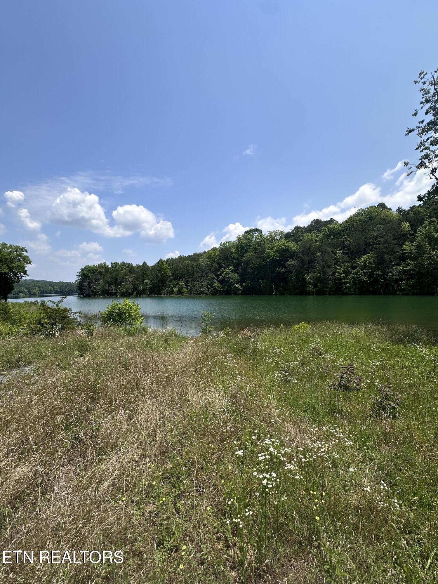 Norris Lake Real Estate - Image# 6