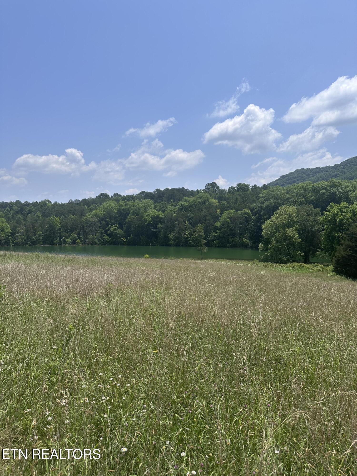 Norris Lake Real Estate - Image# 7
