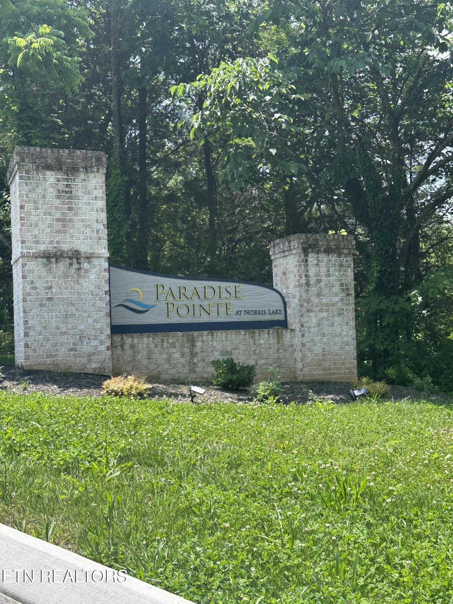 Norris Lake Real Estate - Image# 4