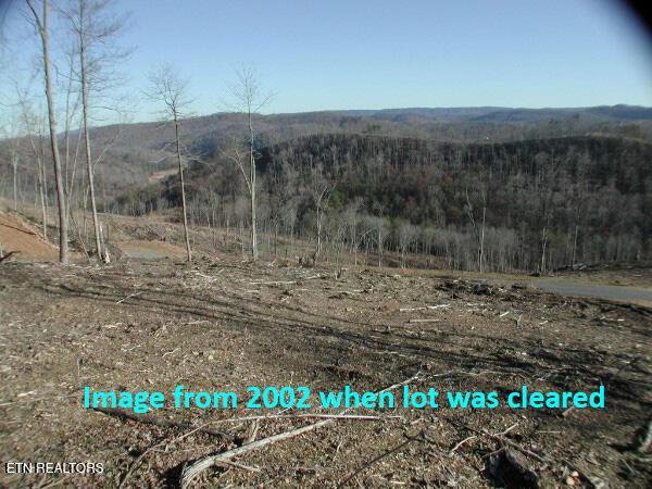 Lot 592 Whistle Valley Rd, New Tazewell, TN - Norris Lake Real Estate - Image# 2