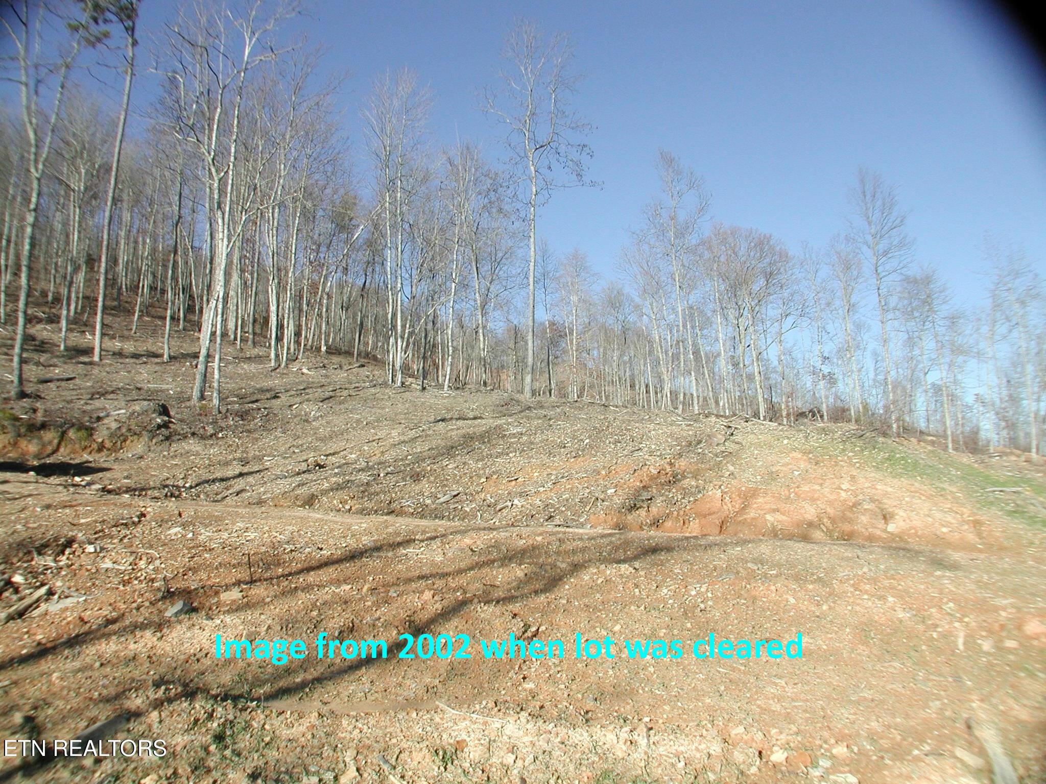 Lot 592 Whistle Valley Rd, New Tazewell, TN - Norris Lake Real Estate - Image# 3