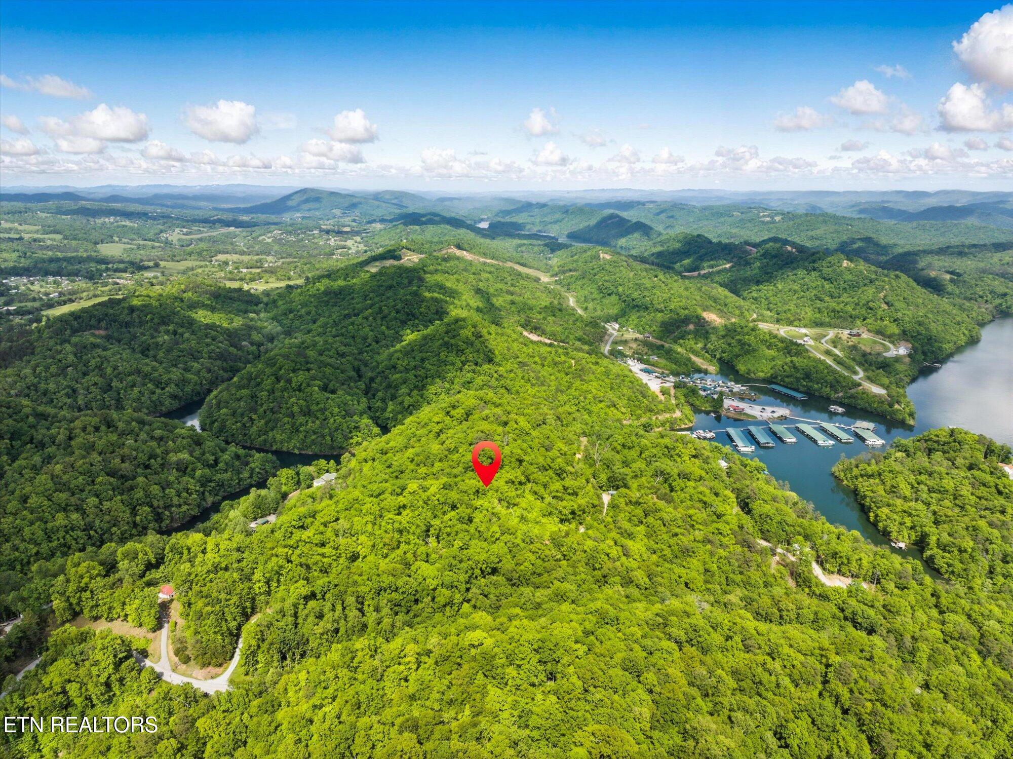 Norris Lake Real Estate - Image# 2