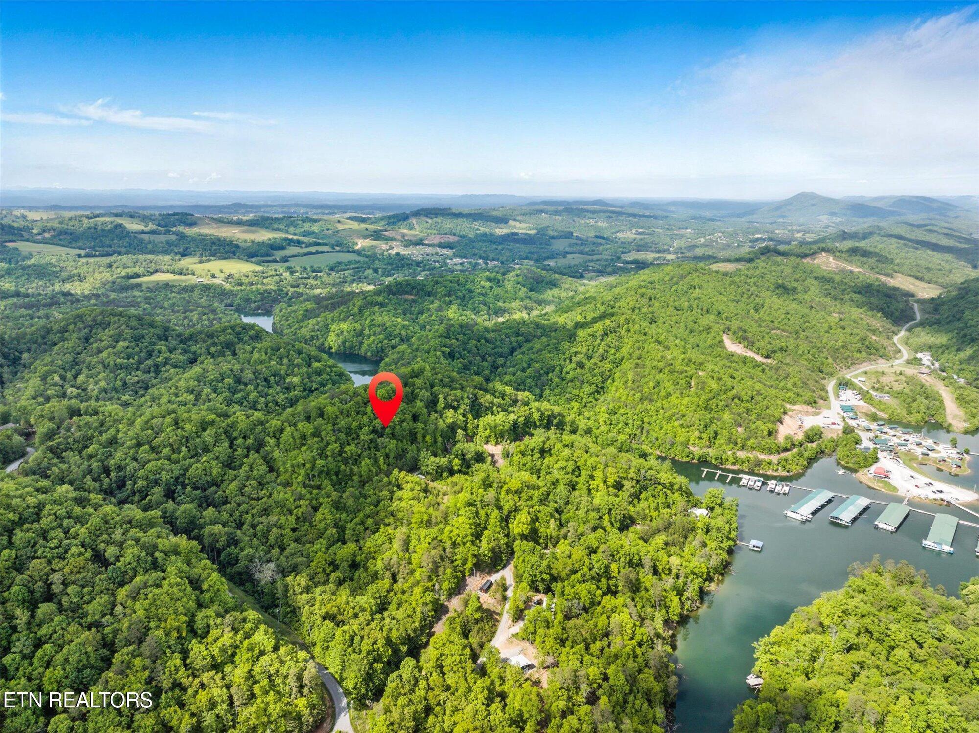 Norris Lake Real Estate - Image# 11