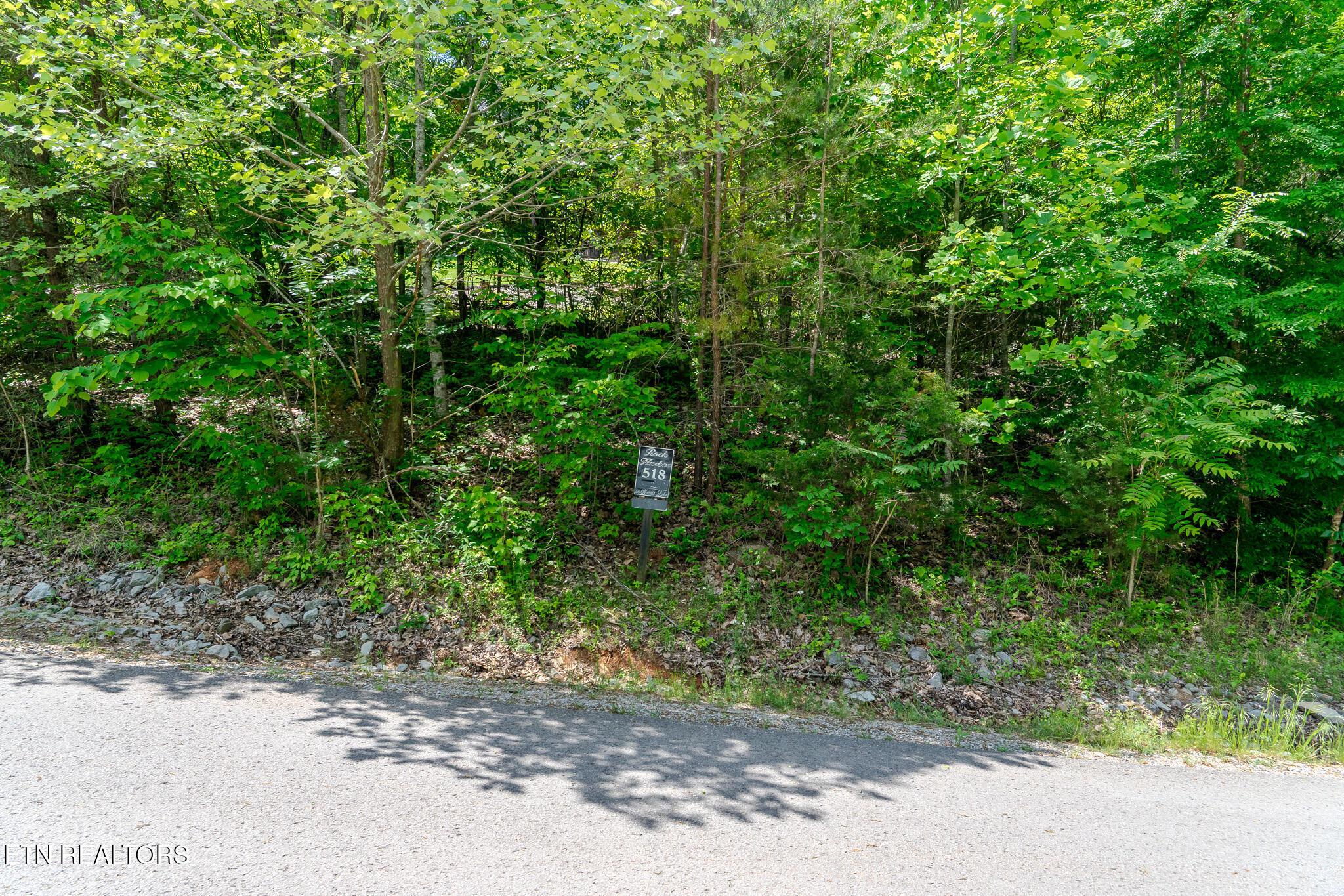Lot 518 Mystic Star Drive, New Tazewell, TN - Norris Lake Real Estate - Image# 2