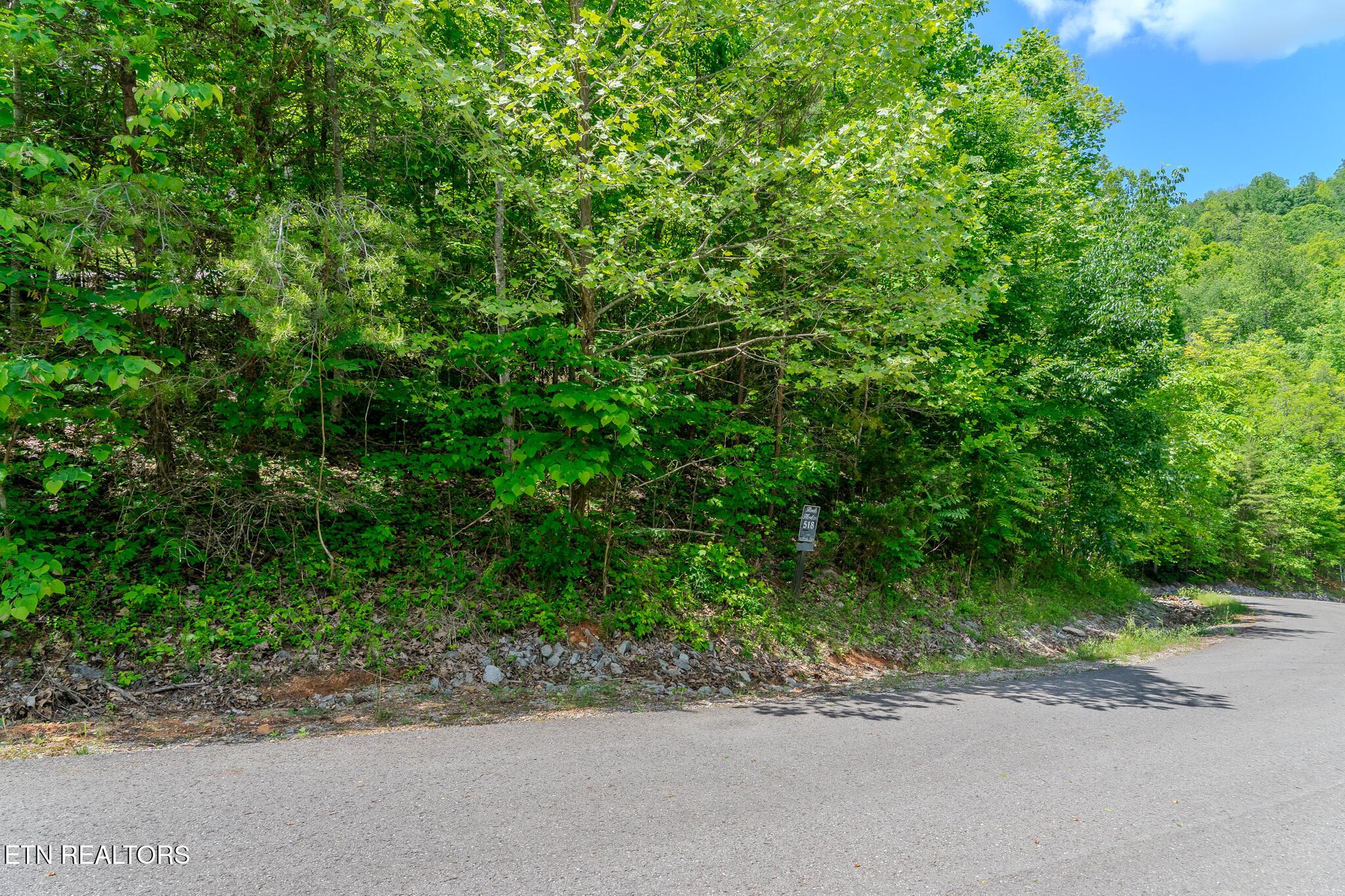 Lot 518 Mystic Star Drive, New Tazewell, TN - Norris Lake Real Estate - Image# 1