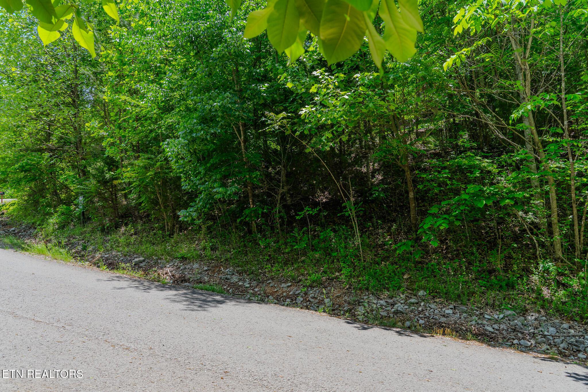 Lot 518 Mystic Star Drive, New Tazewell, TN - Norris Lake Real Estate - Image# 3