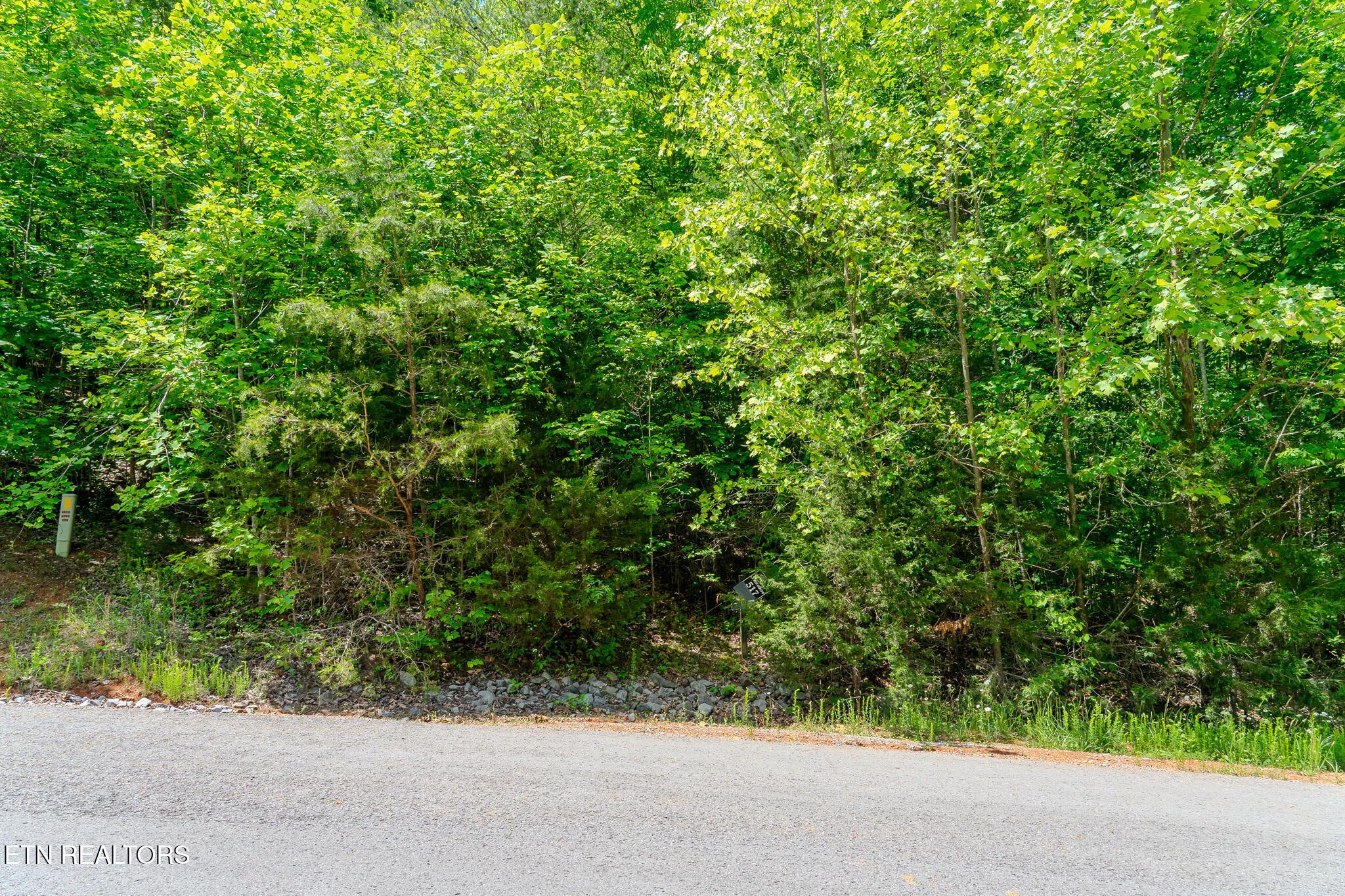 Lot 517 Mystic Star Drive, New Tazewell, TN - Norris Lake Real Estate - Image# 1