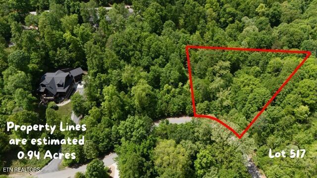 Lot 517 Mystic Star Drive, New Tazewell, TN - Norris Lake Real Estate - Image# 4