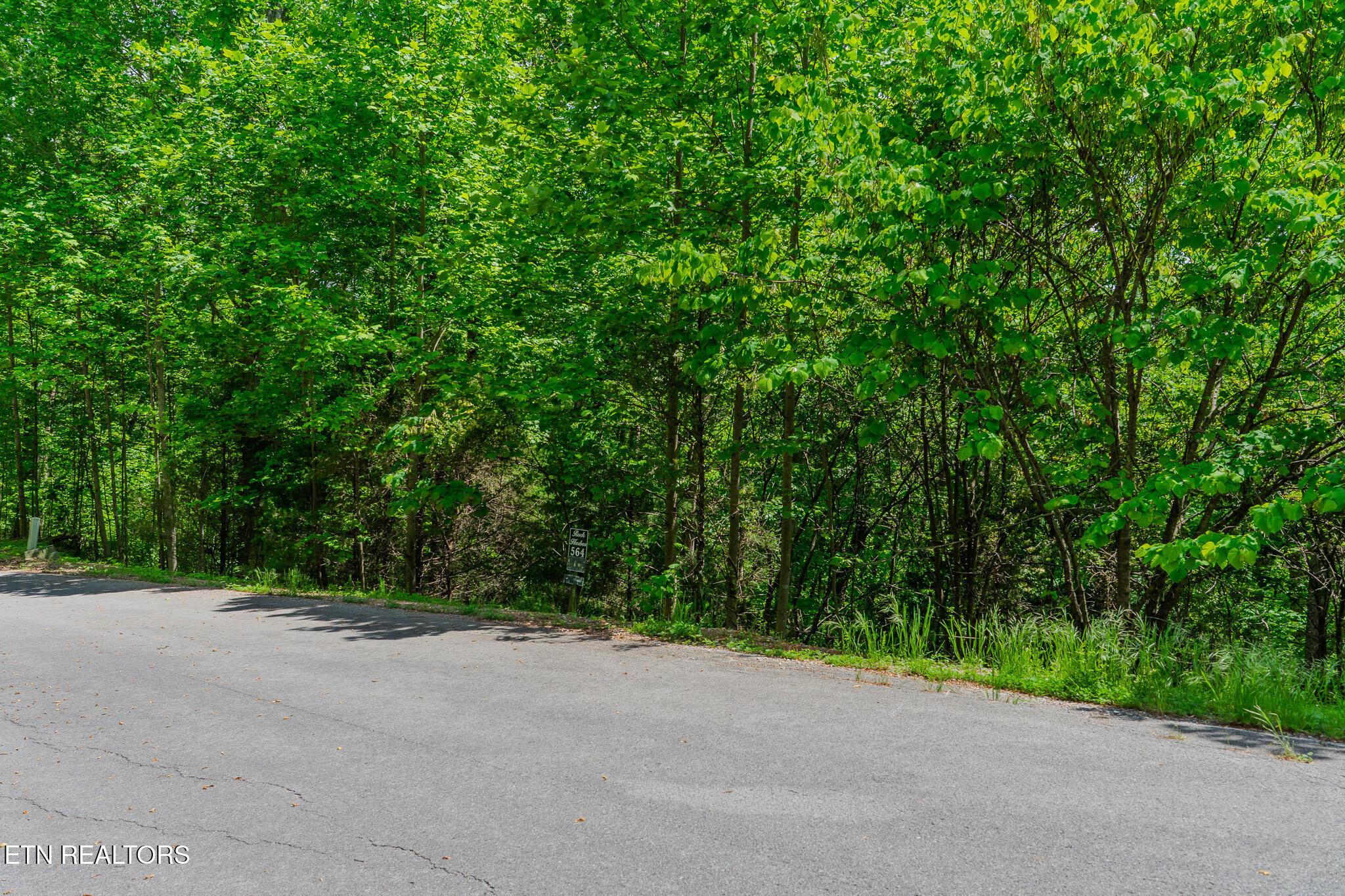 Lot 564 Tortoiseshell Circle, New Tazewell, TN - Norris Lake Real Estate - Image# 1