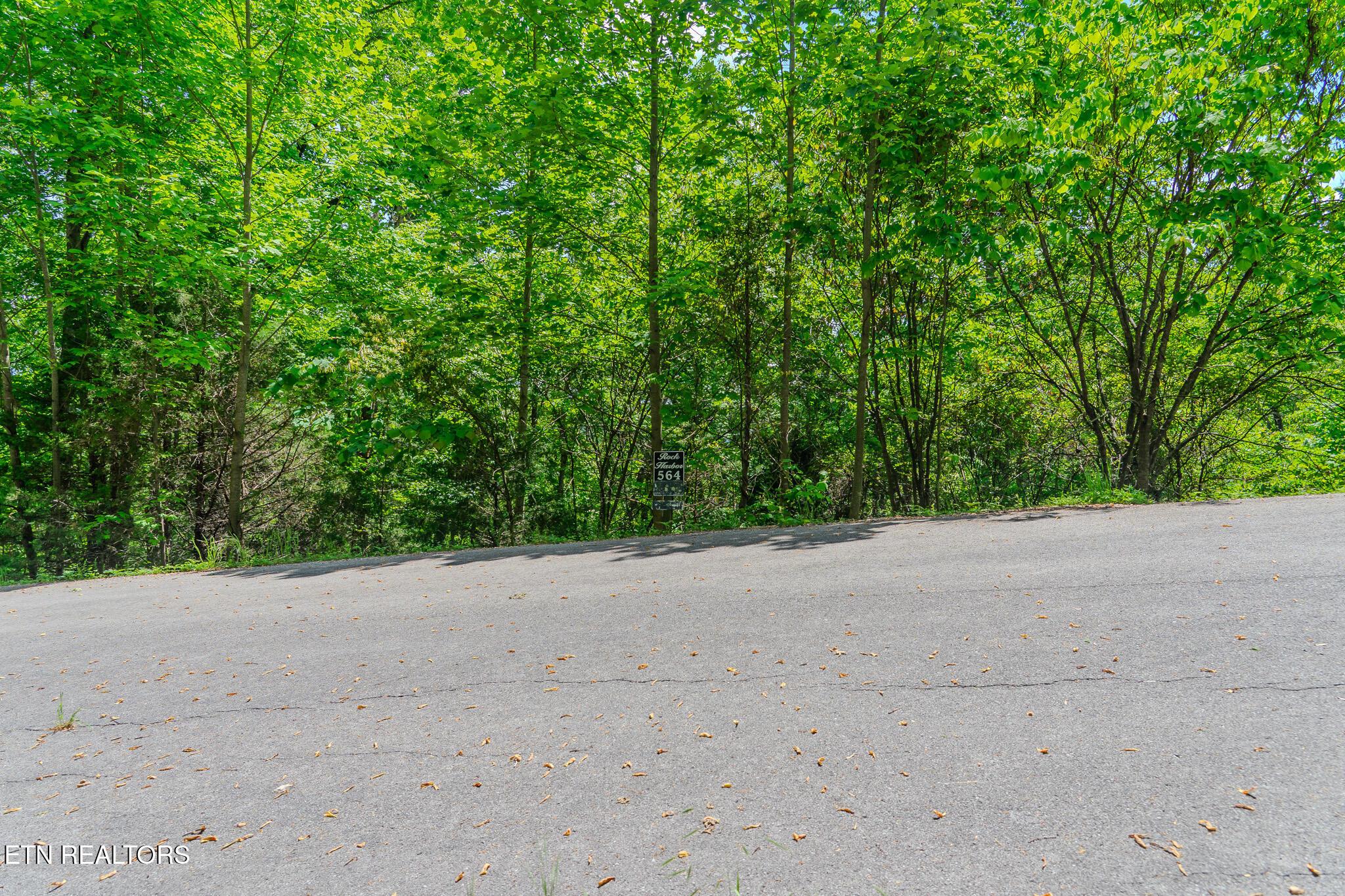 Lot 564 Tortoiseshell Circle, New Tazewell, TN - Norris Lake Real Estate - Image# 2