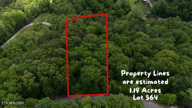 Lot 564 Tortoiseshell Circle, New Tazewell, TN - Norris Lake Real Estate - Image# 3