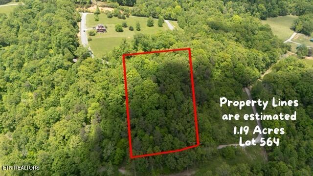 Lot 564 Tortoiseshell Circle, New Tazewell, TN - Norris Lake Real Estate - Image# 4