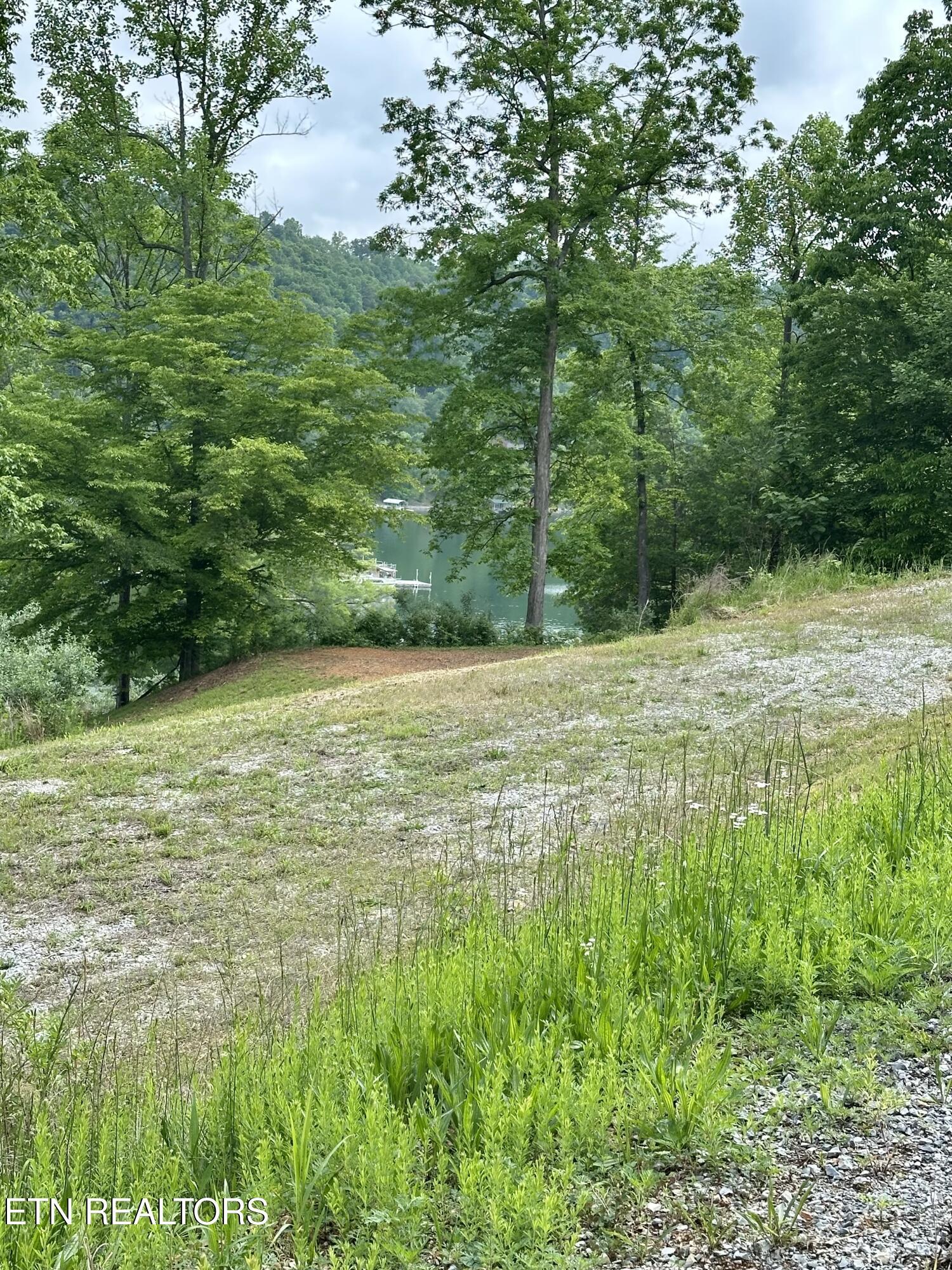 211 & 212 Suncrest Cove, Lafollette, TN - Norris Lake Real Estate - Image# 2