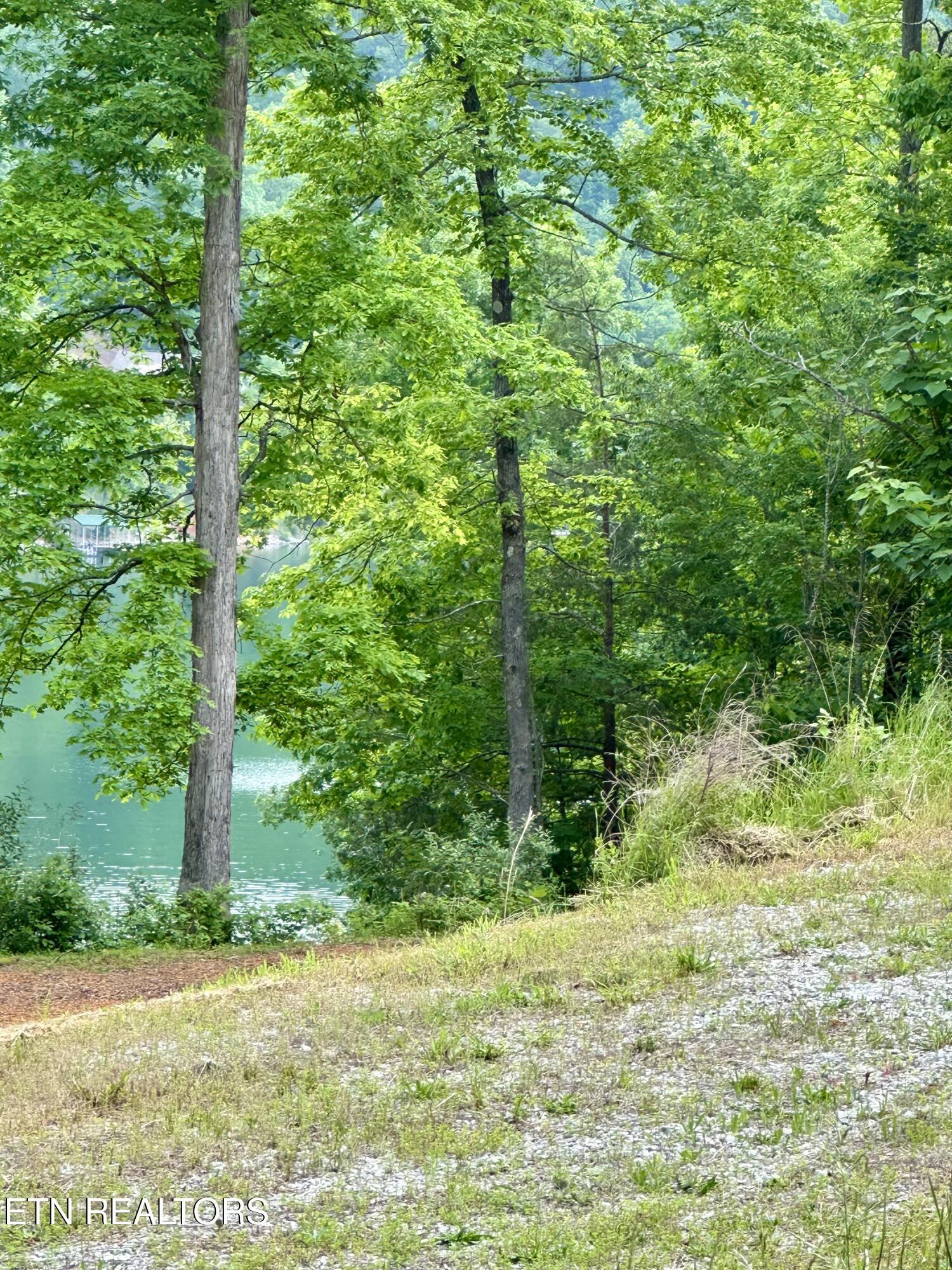 211 & 212 Suncrest Cove, Lafollette, TN - Norris Lake Real Estate - Image# 3