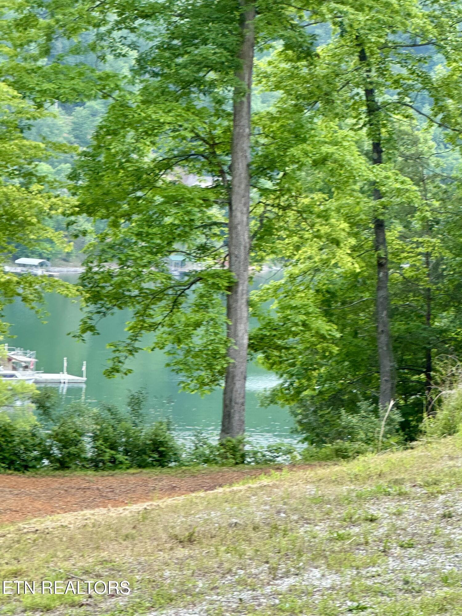 211 & 212 Suncrest Cove, Lafollette, TN - Norris Lake Real Estate - Image# 4