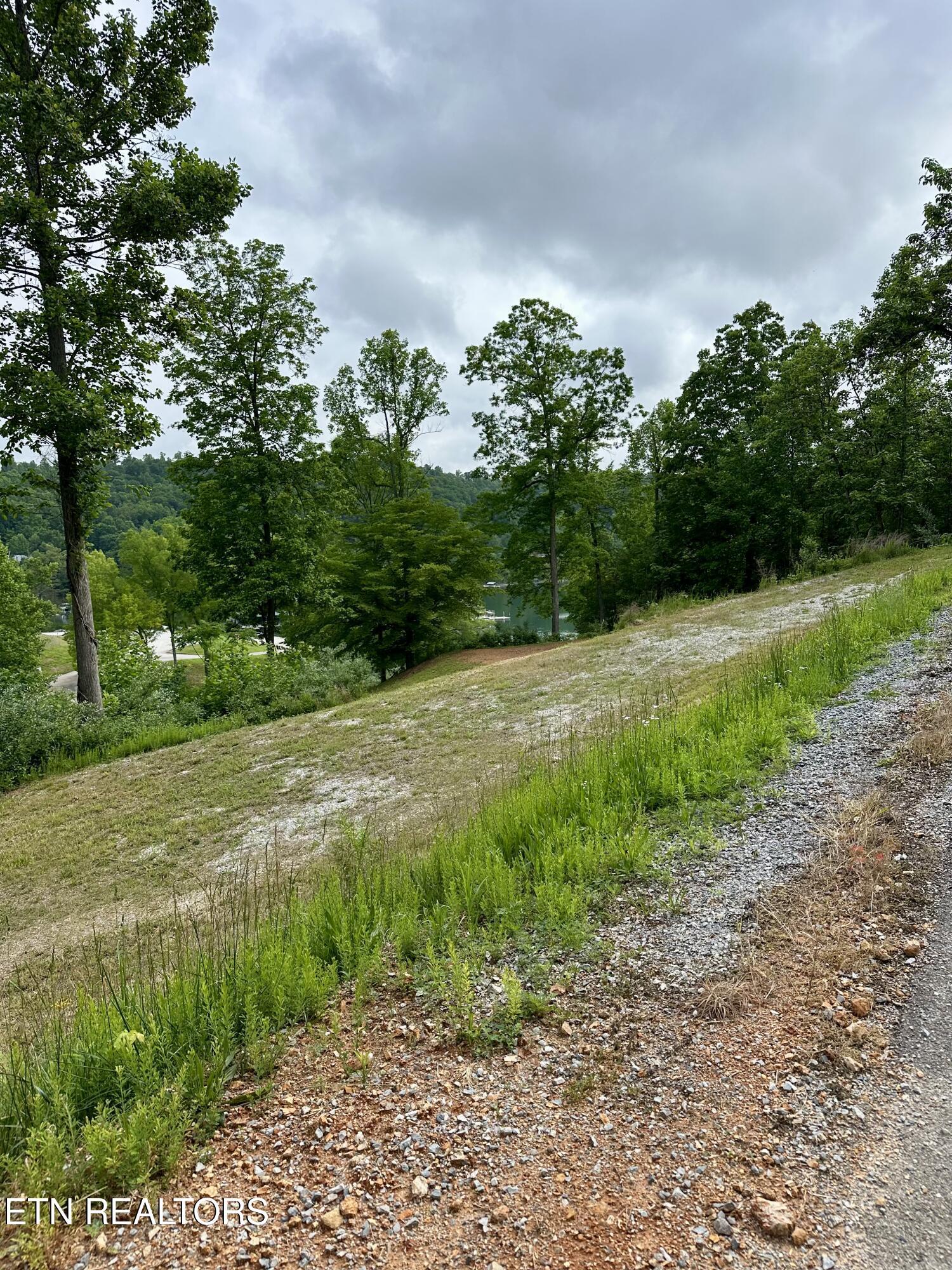 211 & 212 Suncrest Cove, Lafollette, TN - Norris Lake Real Estate - Image# 5
