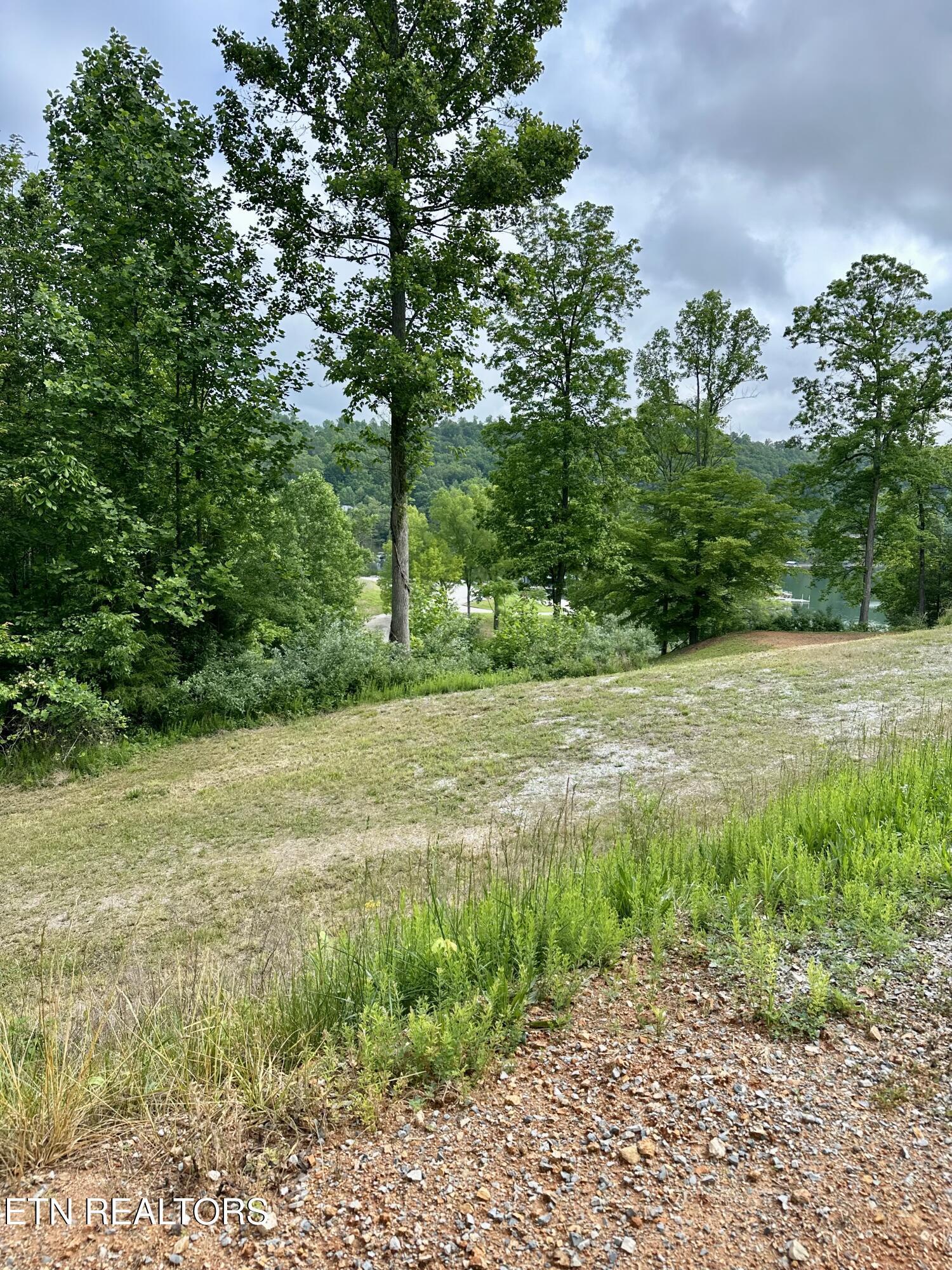 211 & 212 Suncrest Cove, Lafollette, TN - Norris Lake Real Estate - Image# 6