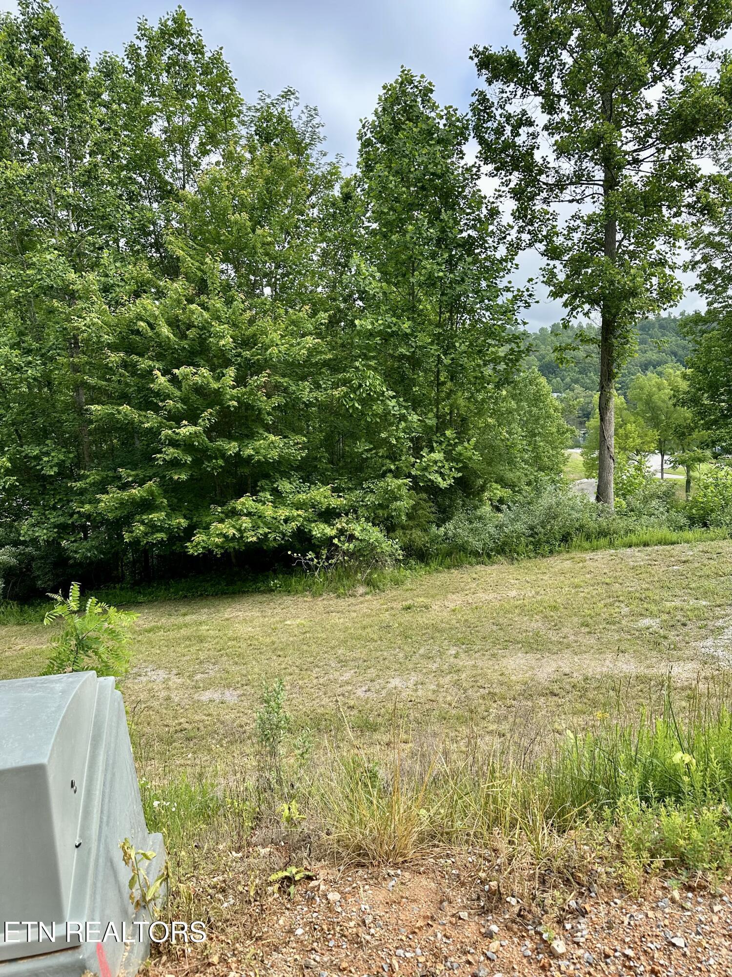 211 & 212 Suncrest Cove, Lafollette, TN - Norris Lake Real Estate - Image# 7