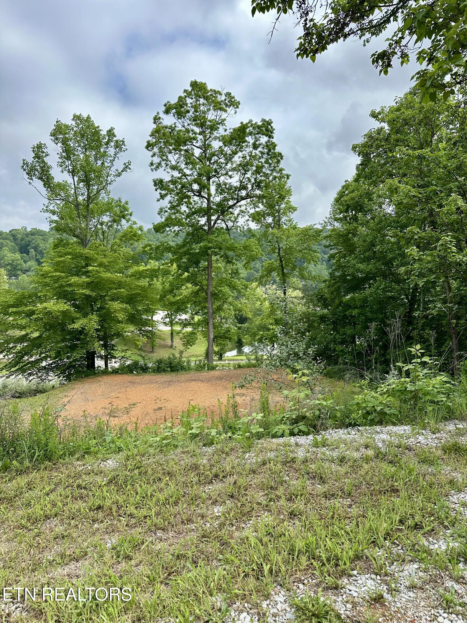 211 & 212 Suncrest Cove, Lafollette, TN - Norris Lake Real Estate - Image# 9