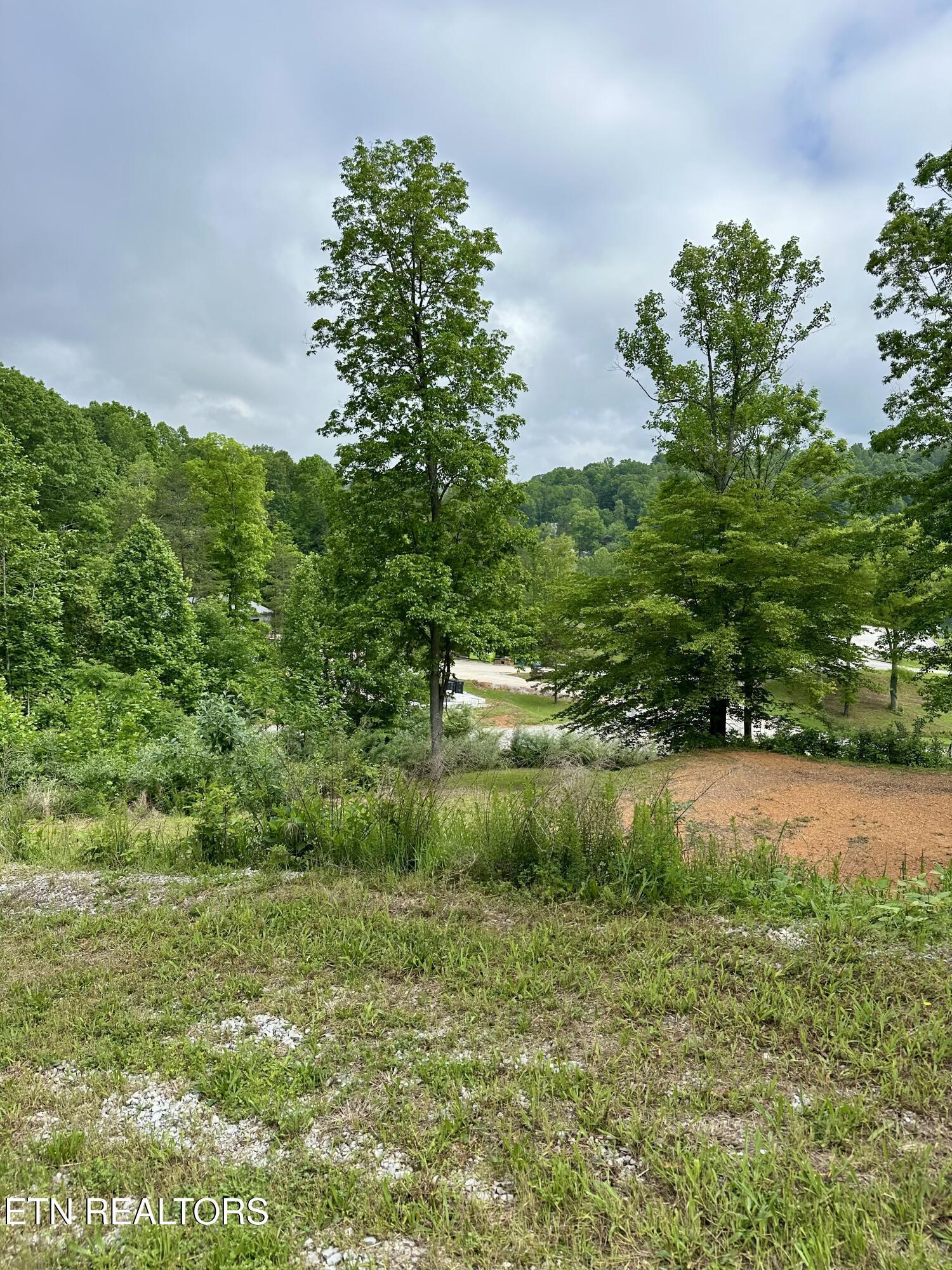211 & 212 Suncrest Cove, Lafollette, TN - Norris Lake Real Estate - Image# 10