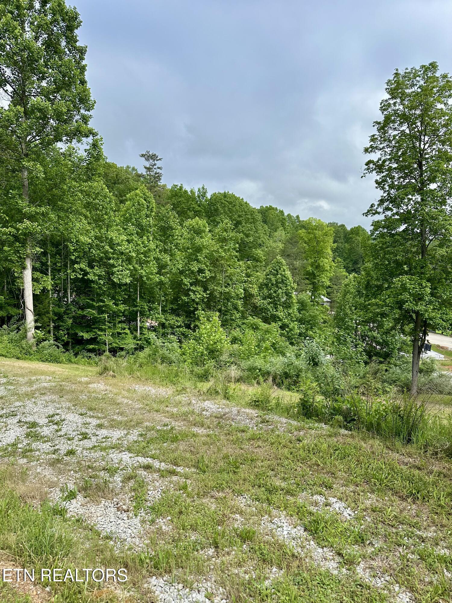 211 & 212 Suncrest Cove, Lafollette, TN - Norris Lake Real Estate - Image# 11