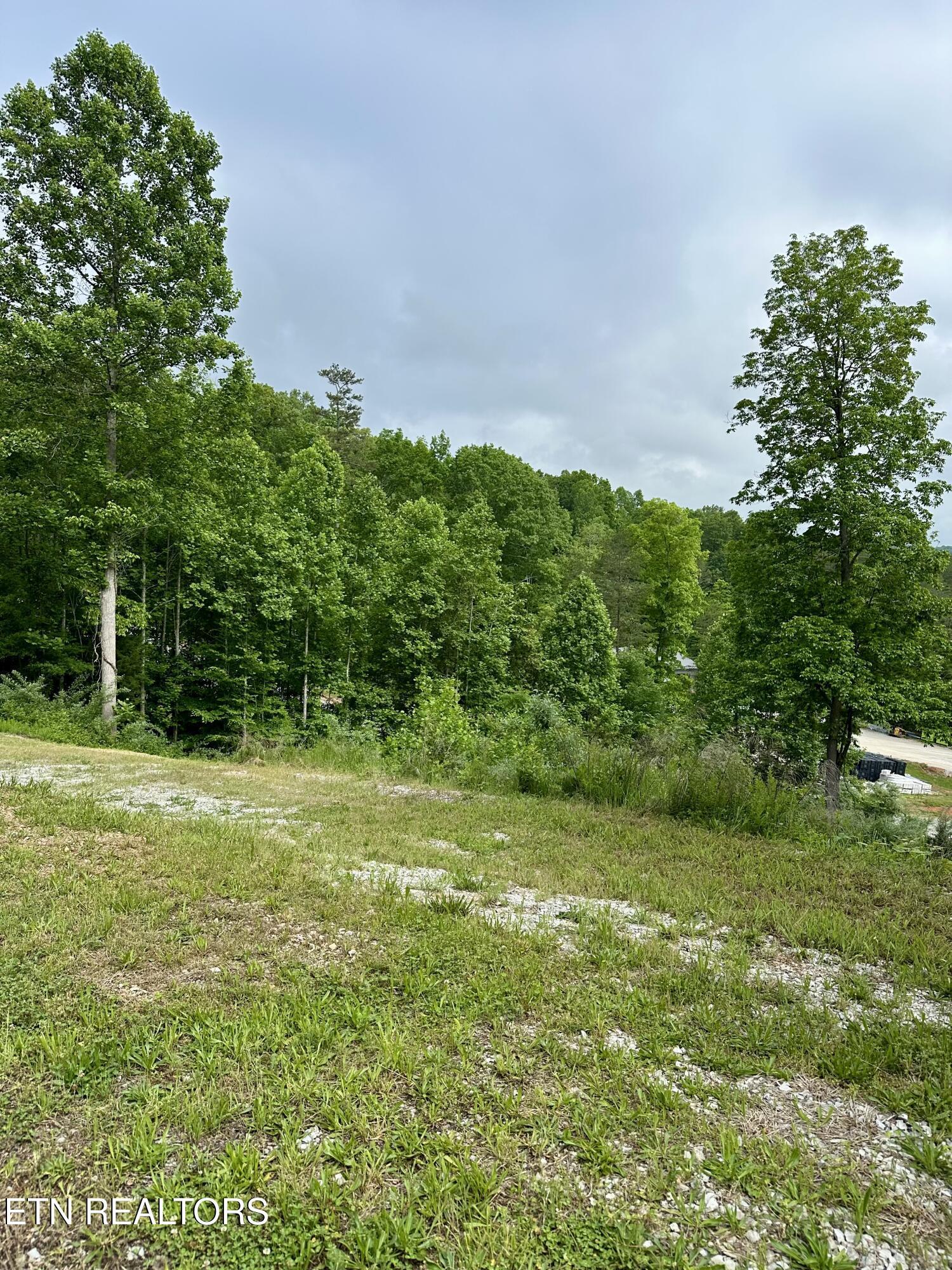 211 & 212 Suncrest Cove, Lafollette, TN - Norris Lake Real Estate - Image# 13