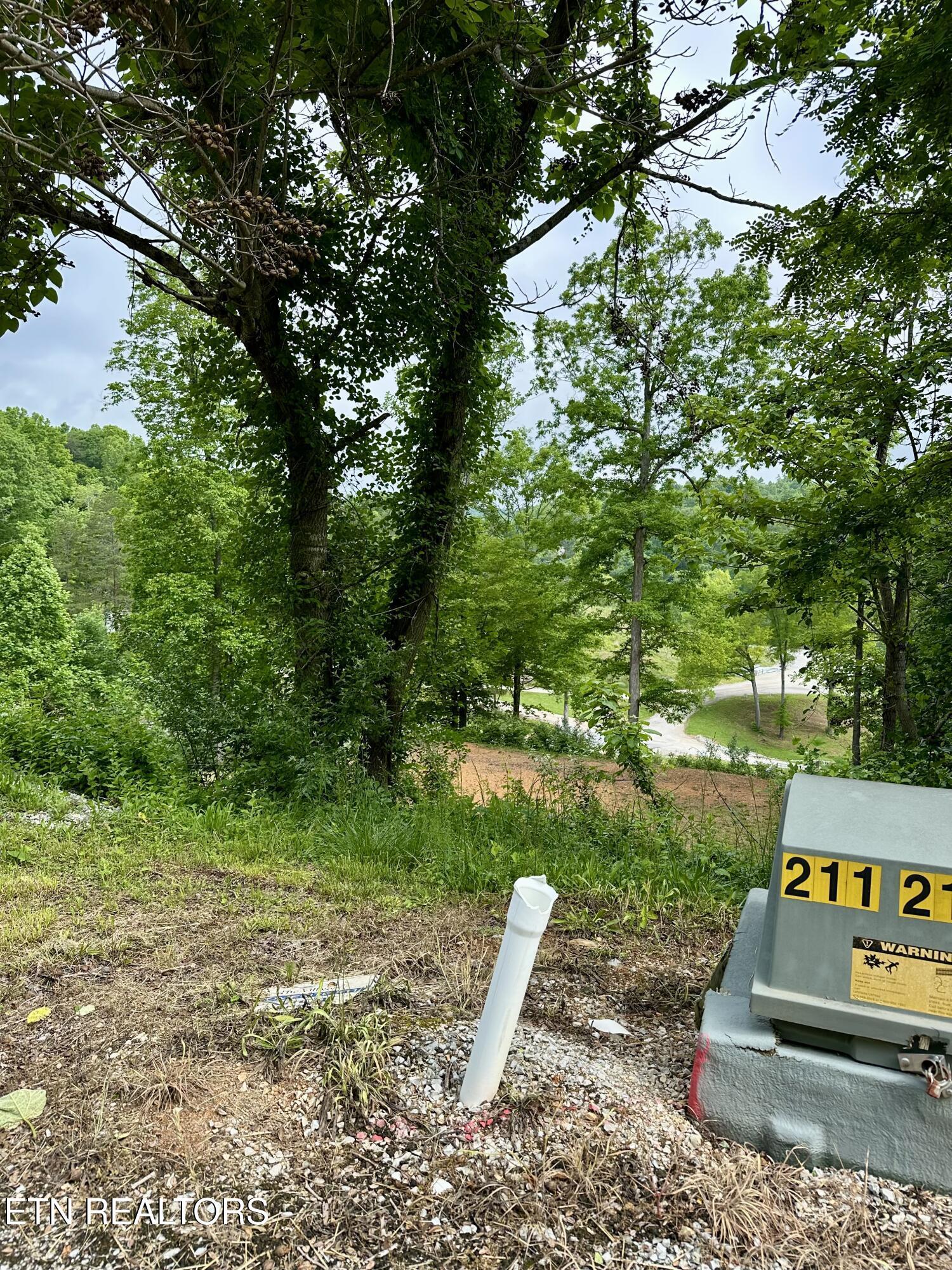 211 & 212 Suncrest Cove, Lafollette, TN - Norris Lake Real Estate - Image# 16