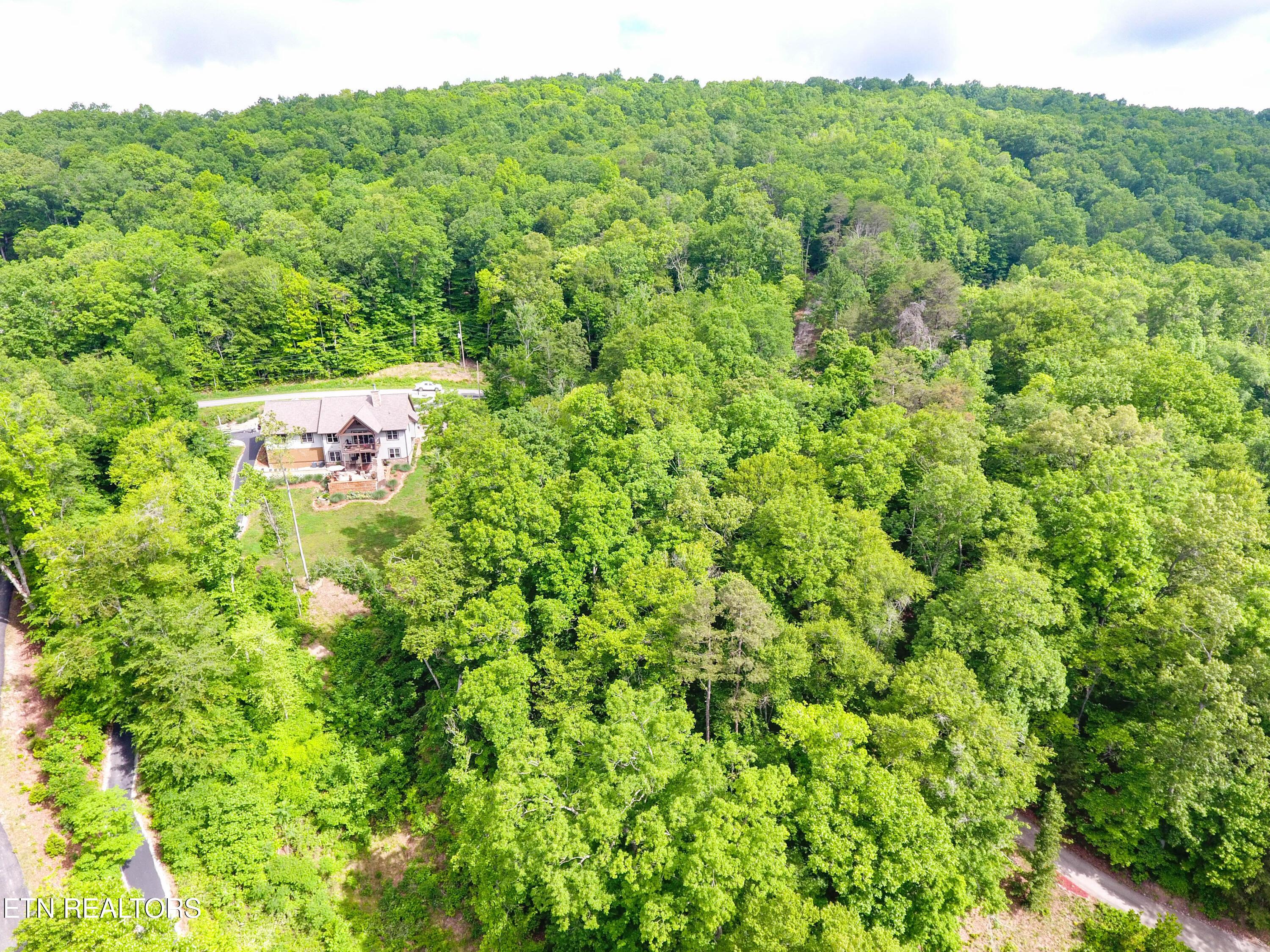 Lot 47 Norris Shores Drive, Sharps Chapel, TN - Norris Lake Real Estate - Image# 7