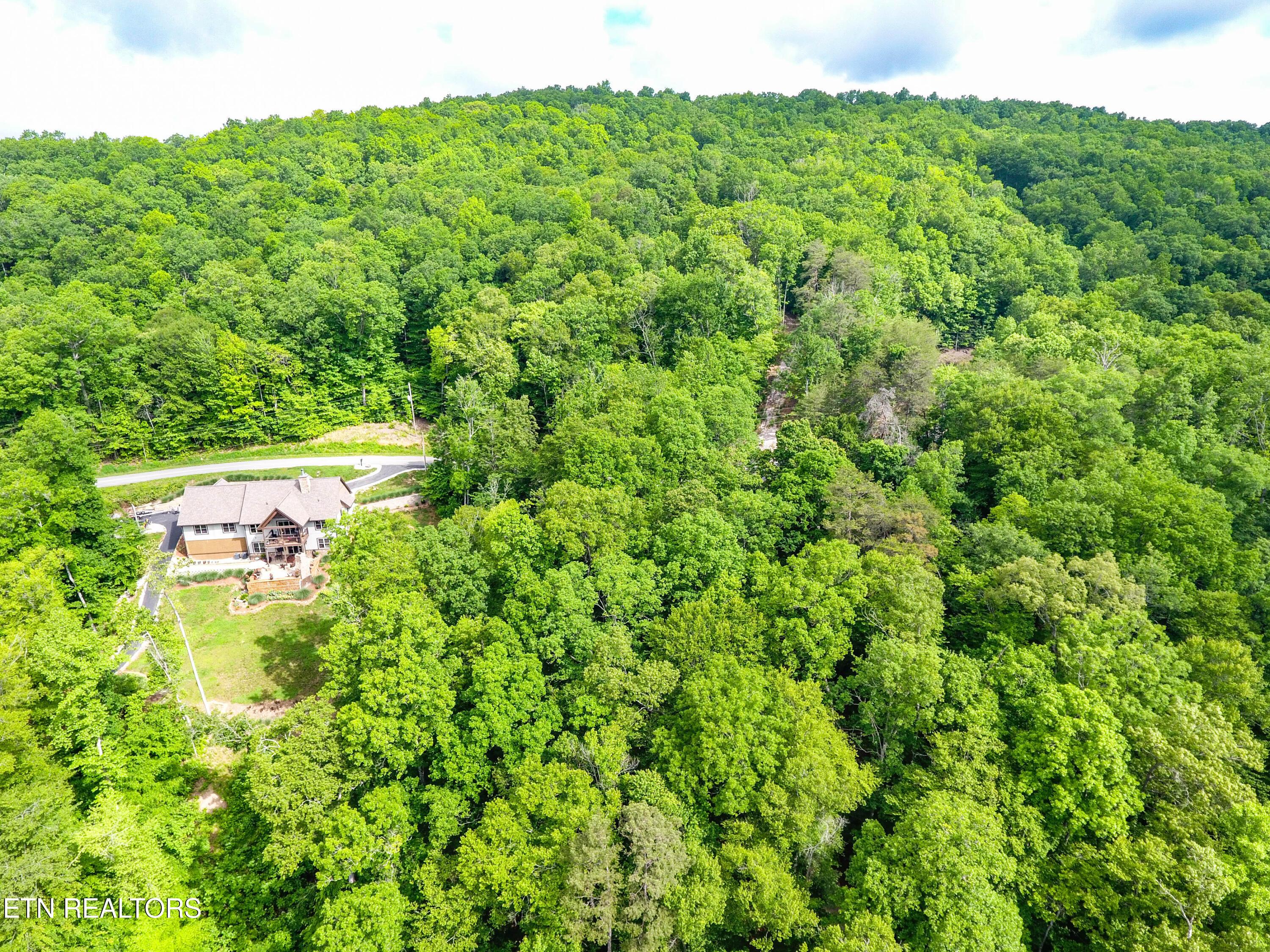 Lot 47 Norris Shores Drive, Sharps Chapel, TN - Norris Lake Real Estate - Image# 8