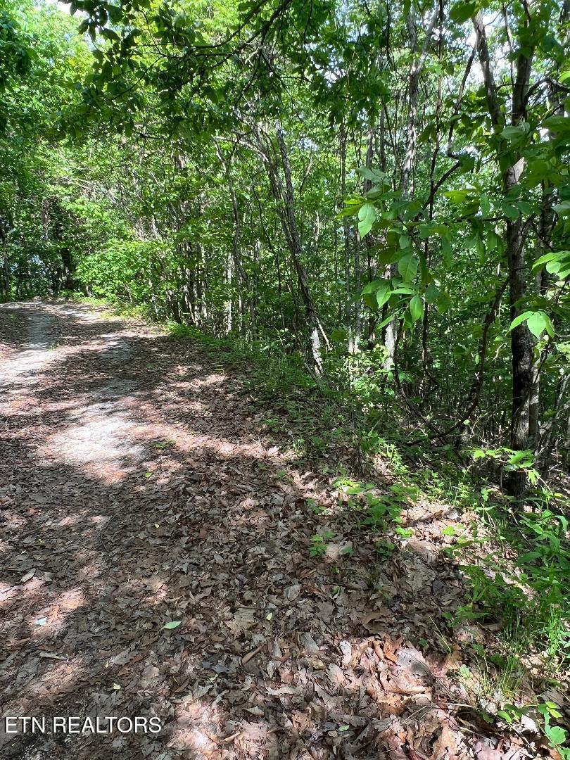 Lt 225 Clinch View Rd, New Tazewell, TN - Norris Lake Real Estate - Image# 5