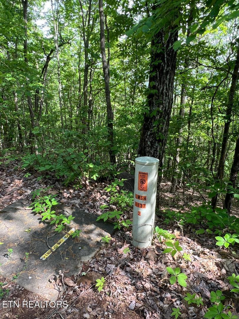 Lt 225 Clinch View Rd, New Tazewell, TN - Norris Lake Real Estate - Image# 6