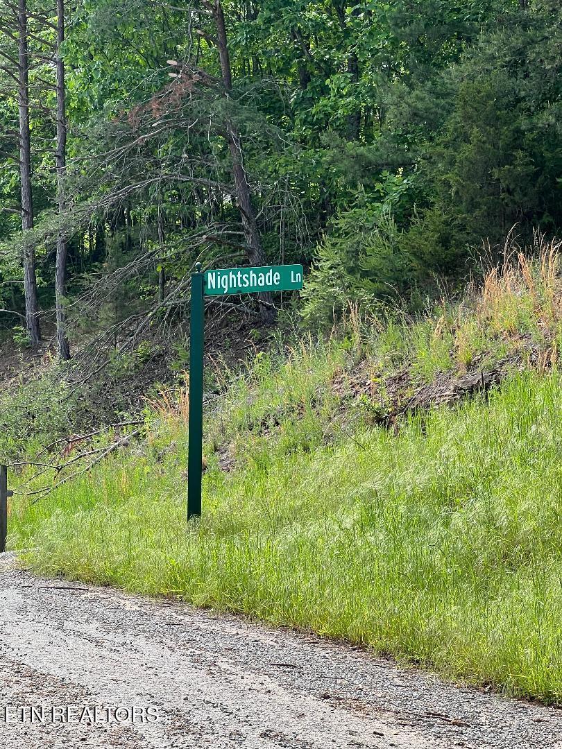 Lt 225 Clinch View Rd, New Tazewell, TN - Norris Lake Real Estate - Image# 7