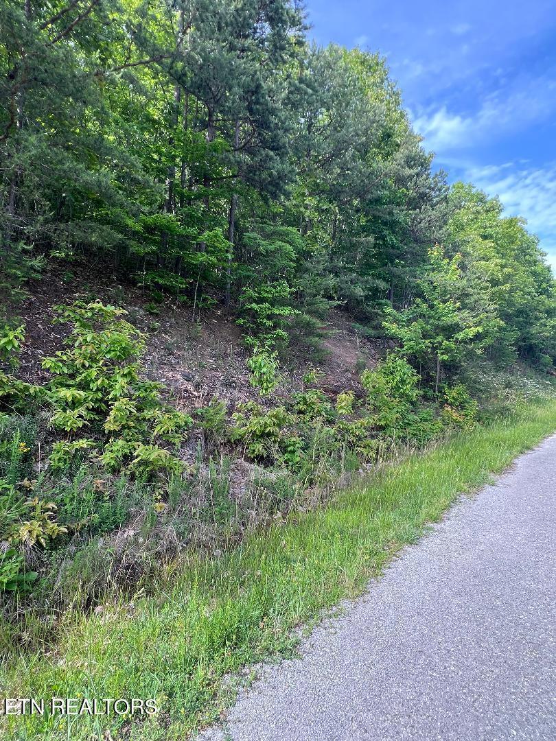 Lt 225 Clinch View Rd, New Tazewell, TN - Norris Lake Real Estate - Image# 2