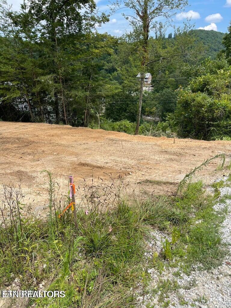 Norris Lake Real Estate - Image# 1