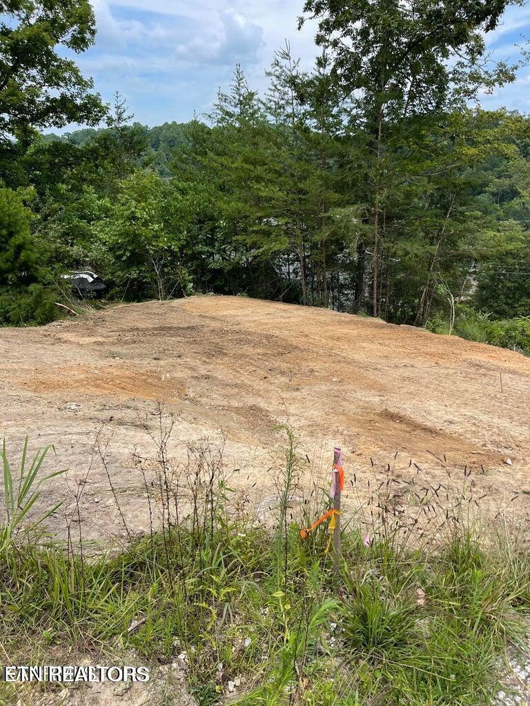 Norris Lake Real Estate - Image# 2