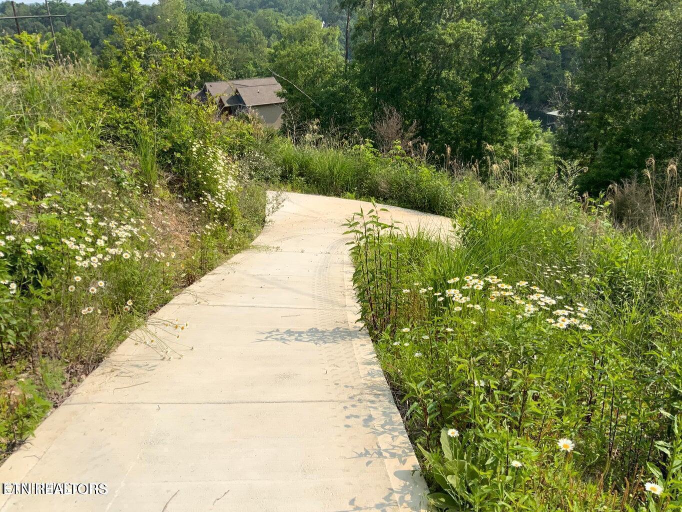 Norris Lake Real Estate - Image# 4