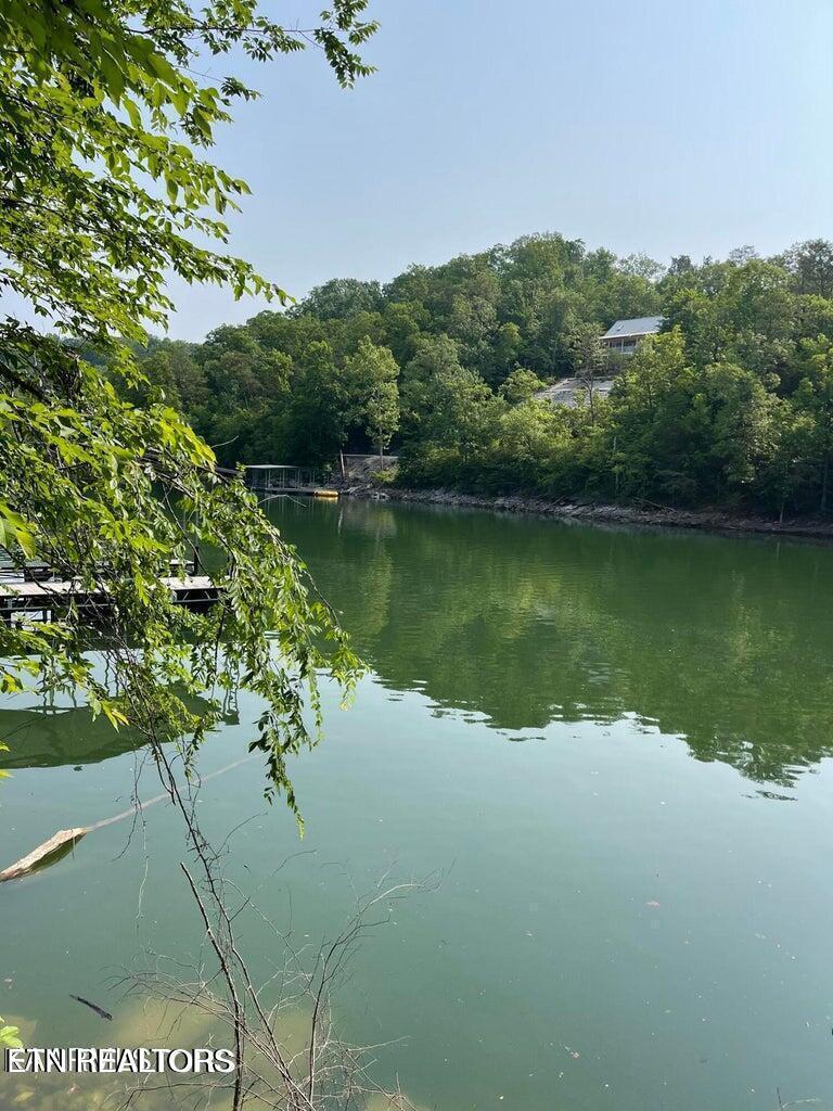 Norris Lake Real Estate - Image# 5