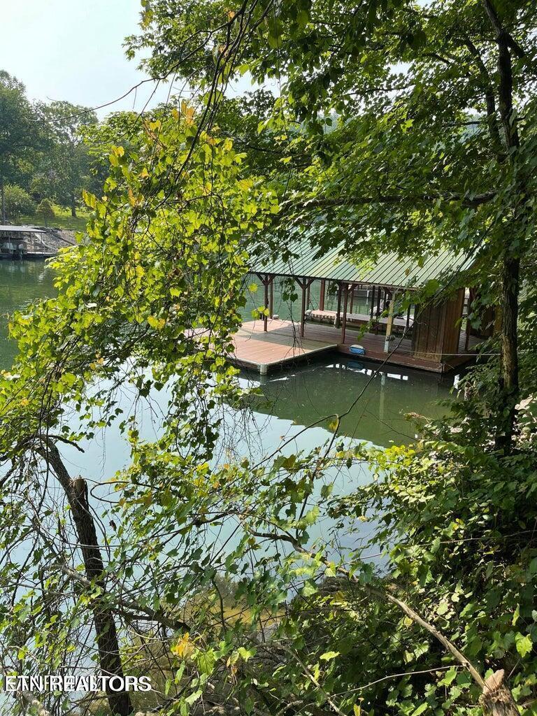 Norris Lake Real Estate - Image# 6
