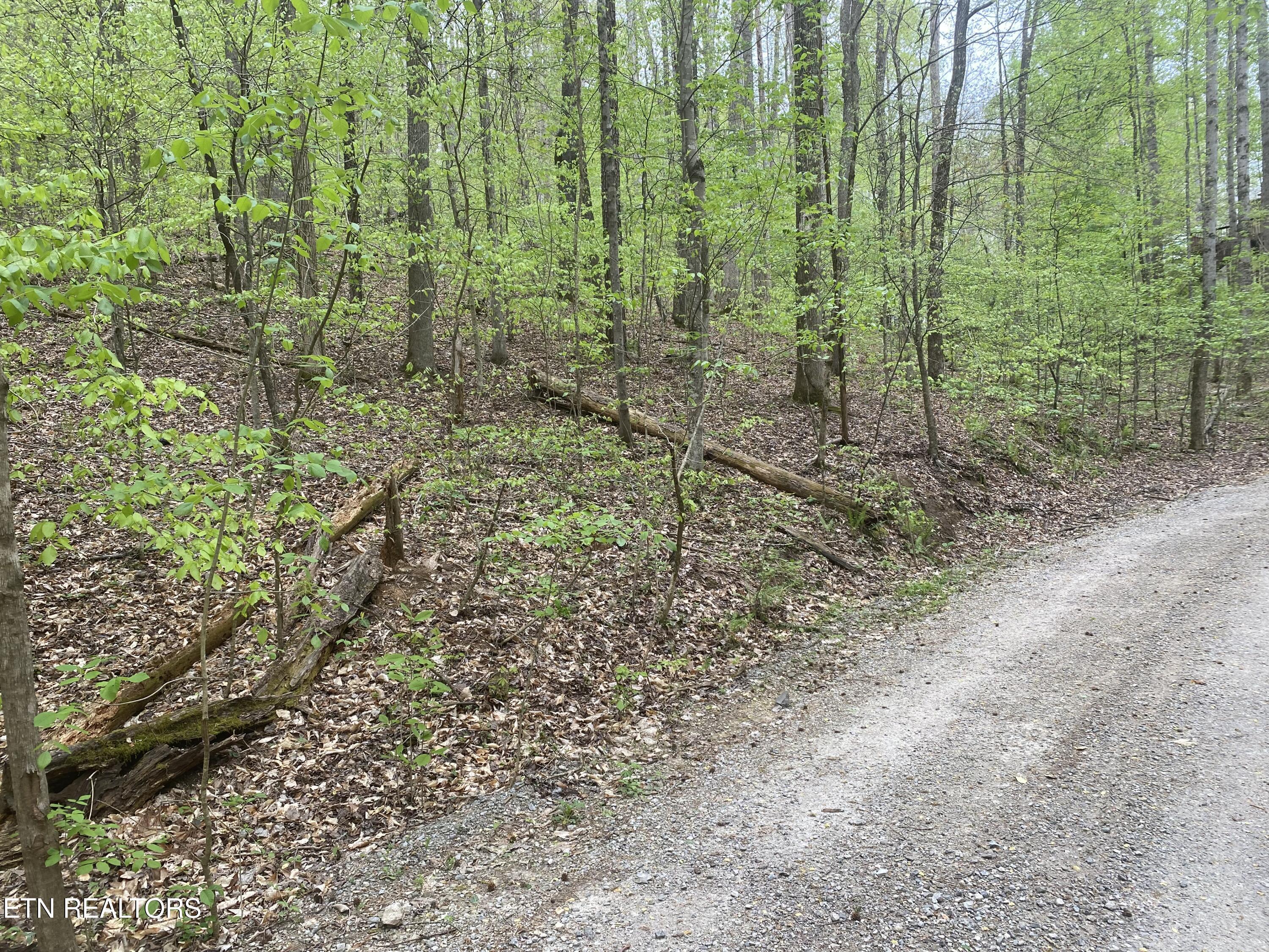 Norris Lake Real Estate - Image# 1