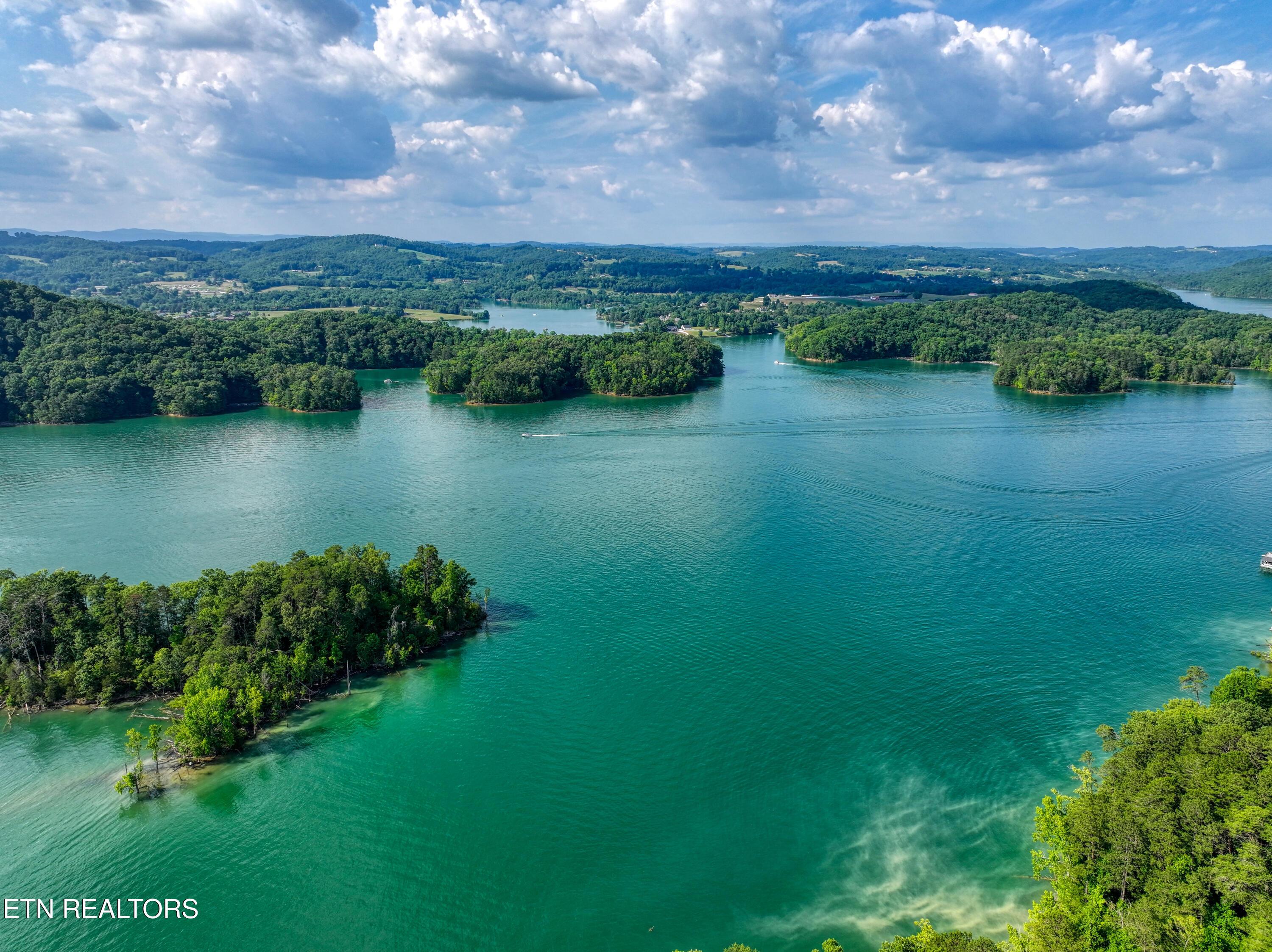 Norris Lake Real Estate - Image# 2