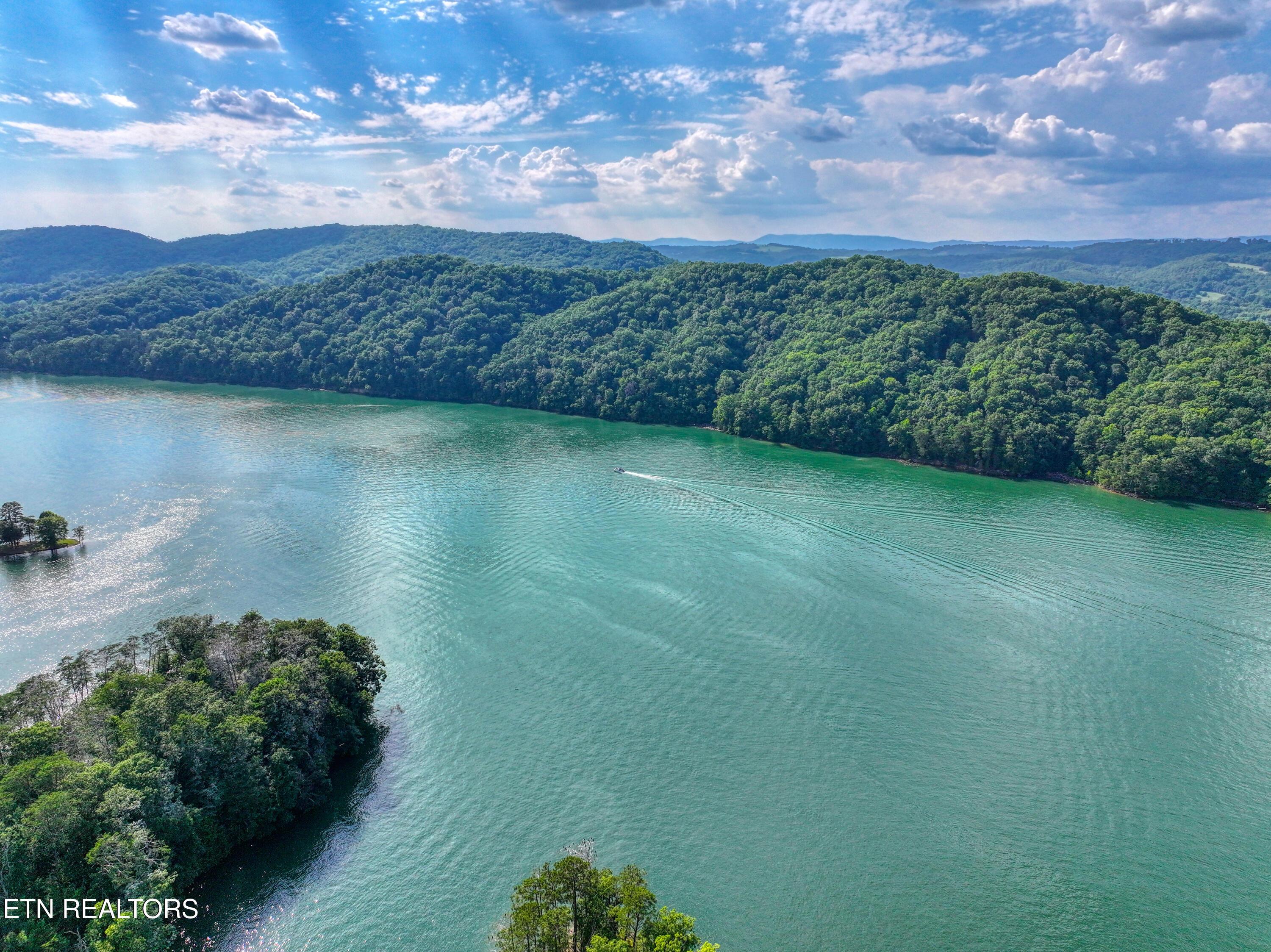 Norris Lake Real Estate - Image# 3